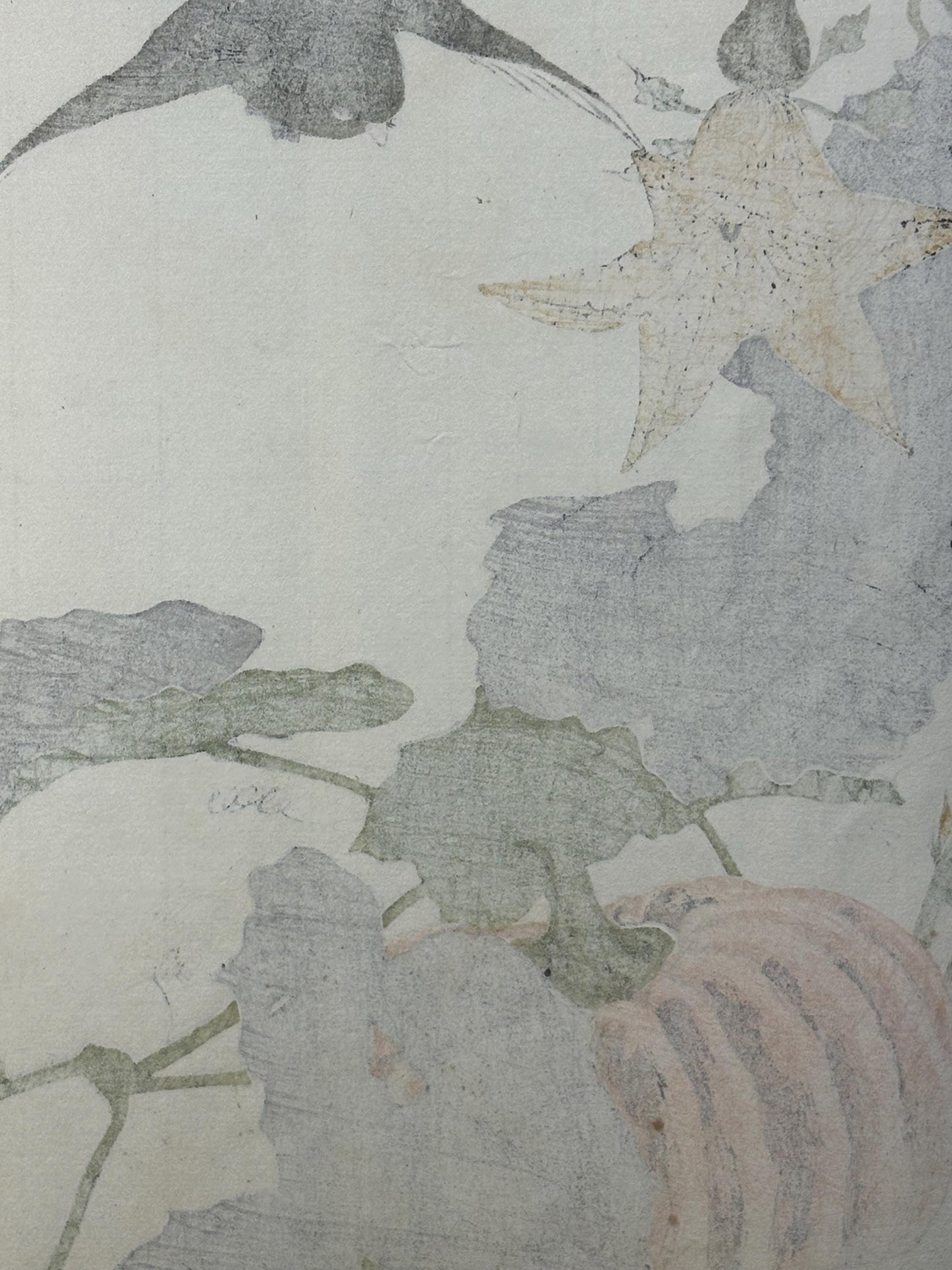 Japanese Antique Original Woodcut Print, Imao Keinen, "Pumpkin, Blackbird"