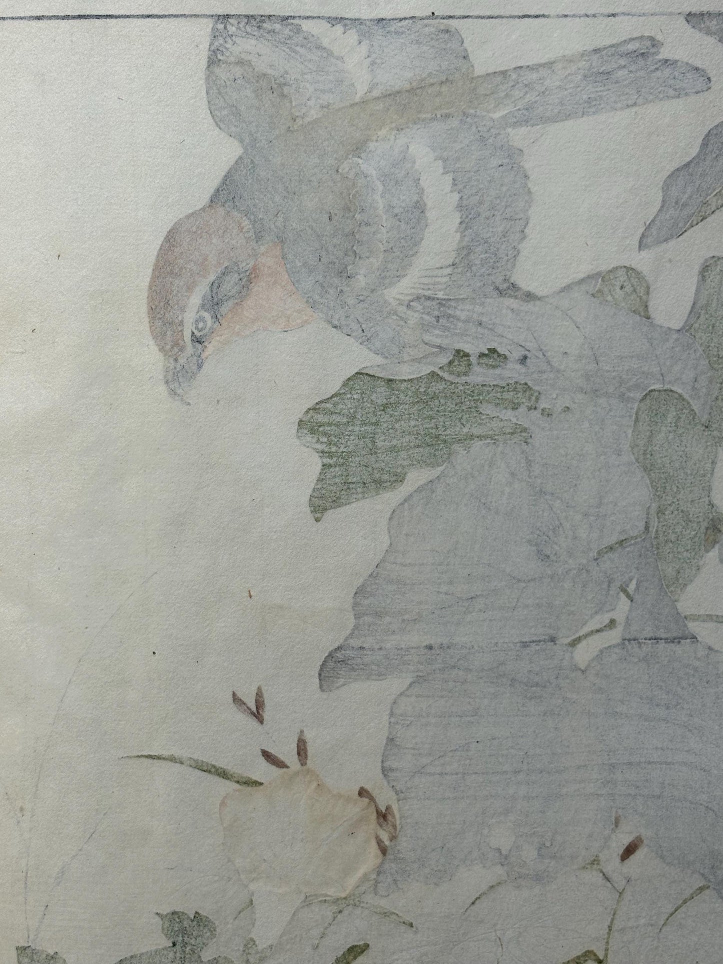 Japanese antique woodcut print, 1892, Imao Keinen, "Soybean, Shrike, Bonin white-eye"