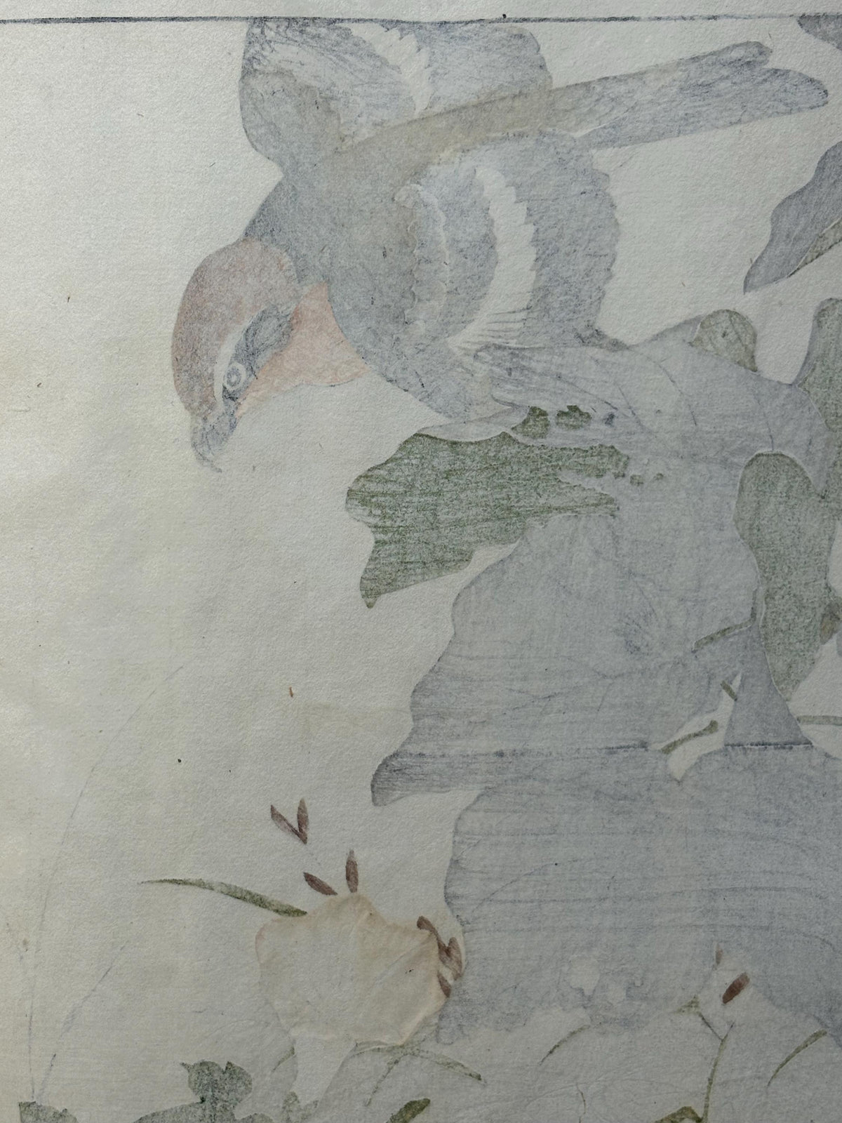 Japanese antique woodcut print, 1892, Imao Keinen, "Soybean, Shrike, Bonin white-eye"