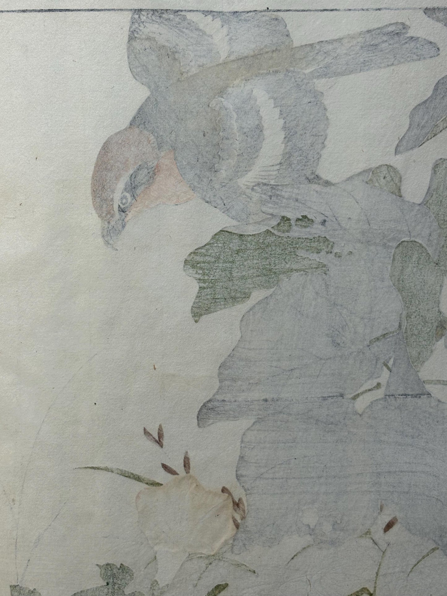 Japanese antique woodcut print, 1892, Imao Keinen, "Soybean, Shrike, Bonin white-eye"