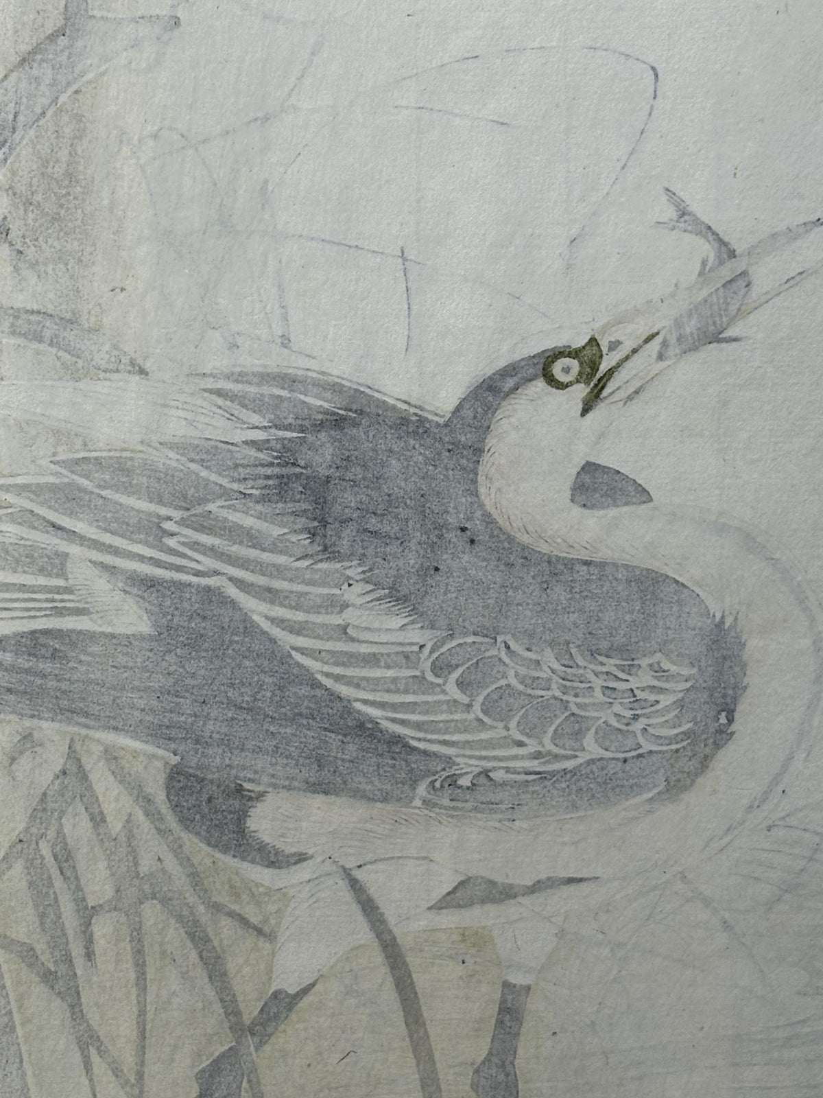 Japanese antique woodcut print, 1892, Imao Keinen, "Willow, Gray heron"