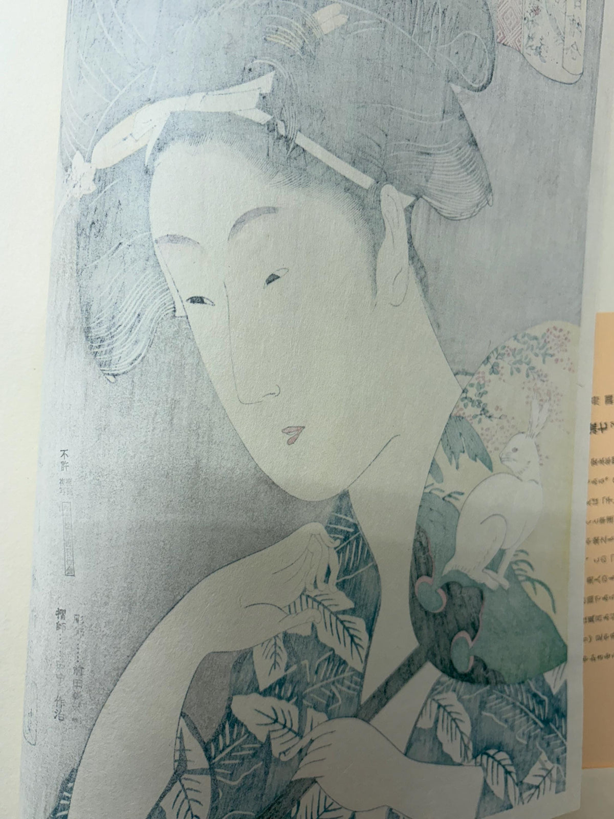 Japanese Ukiyoe, Woodblock print, Tamagawa Shucho, "An Elegant Series of Amulet Painting, Rabbit and Cock"