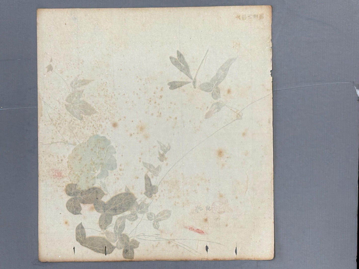 Japanese antique design, lithographic print, around a hundred years ago, Hobun, "morning glory".