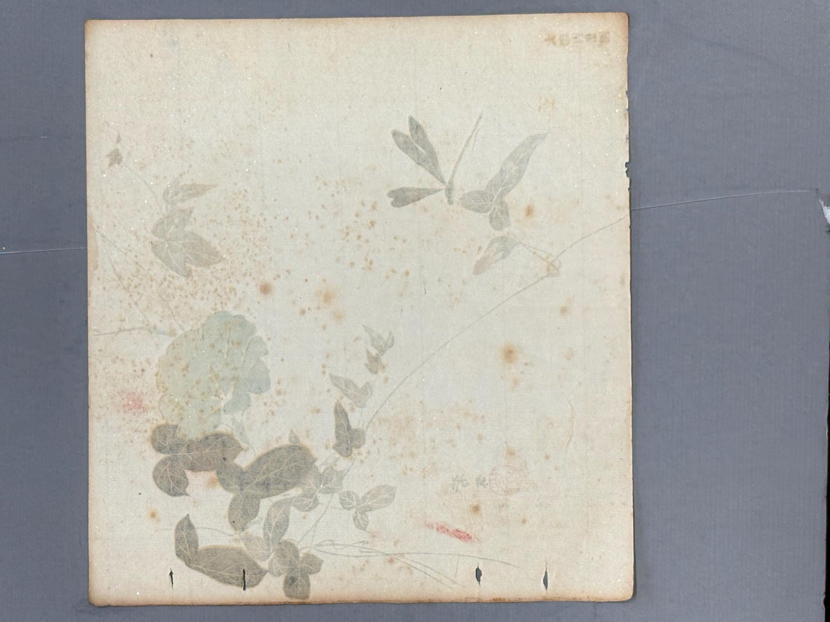 Japanese antique design, lithographic print, around a hundred years ago, Hobun, "morning glory".