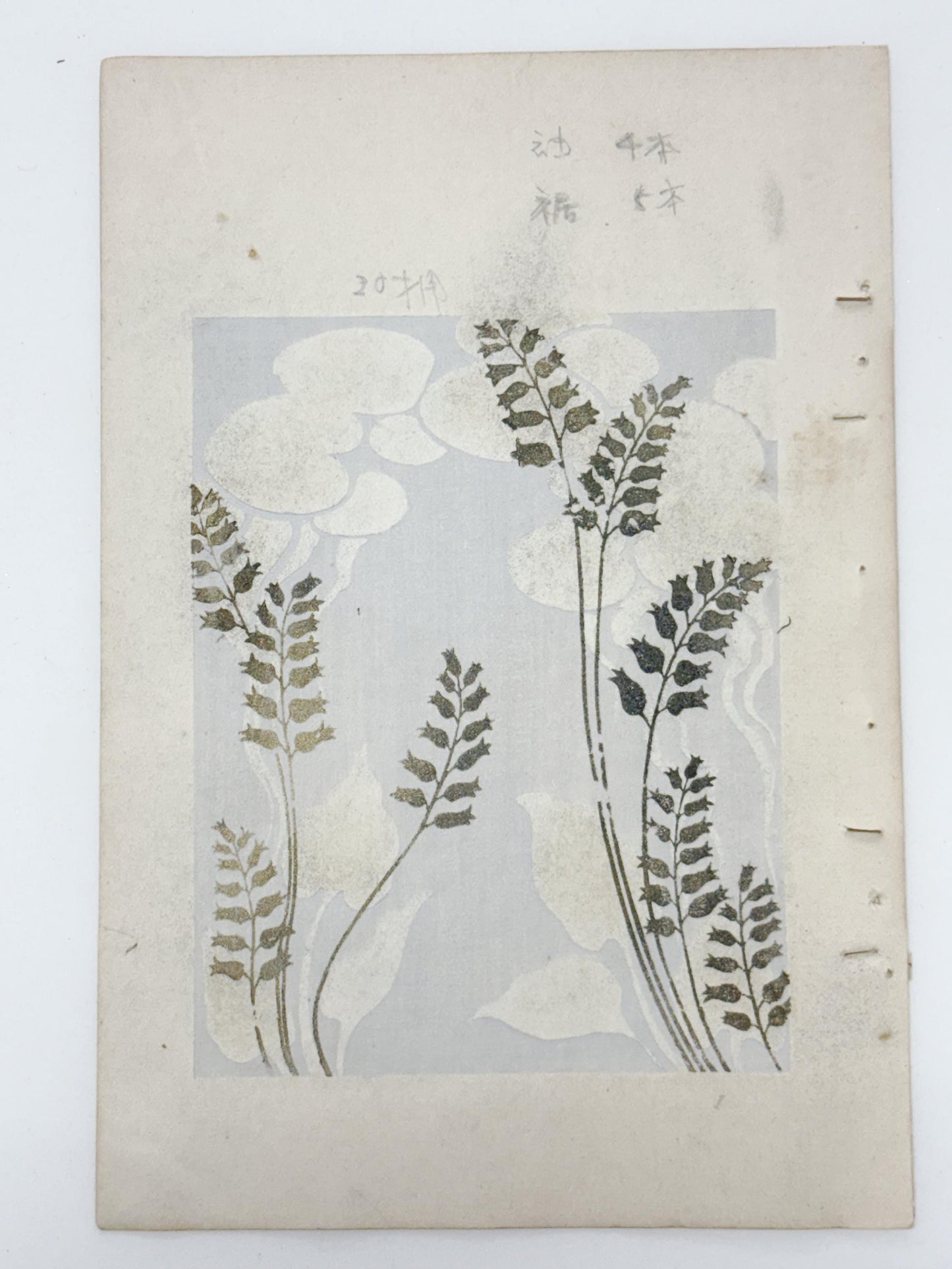 Japanese woodblock print, Around 1900, Shin-Bijutsukai 12