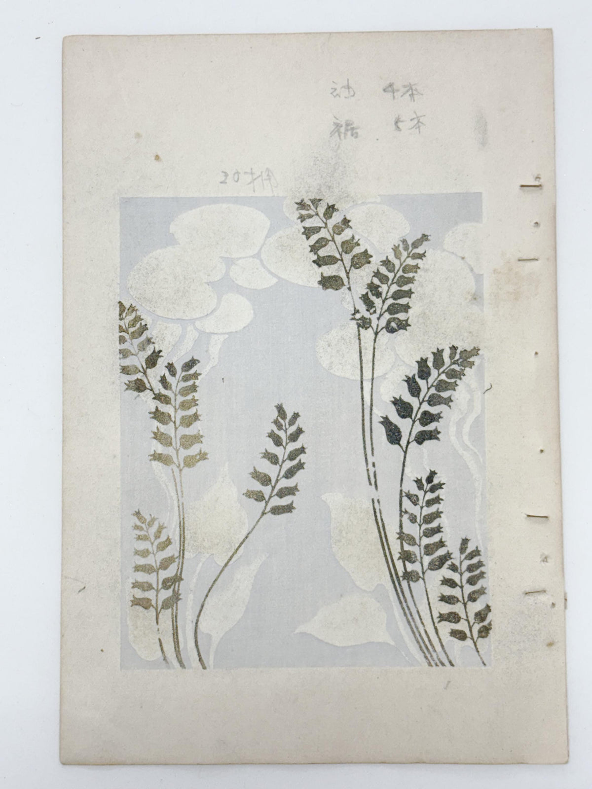 Japanese woodblock print, Around 1900, Shin-Bijutsukai 12