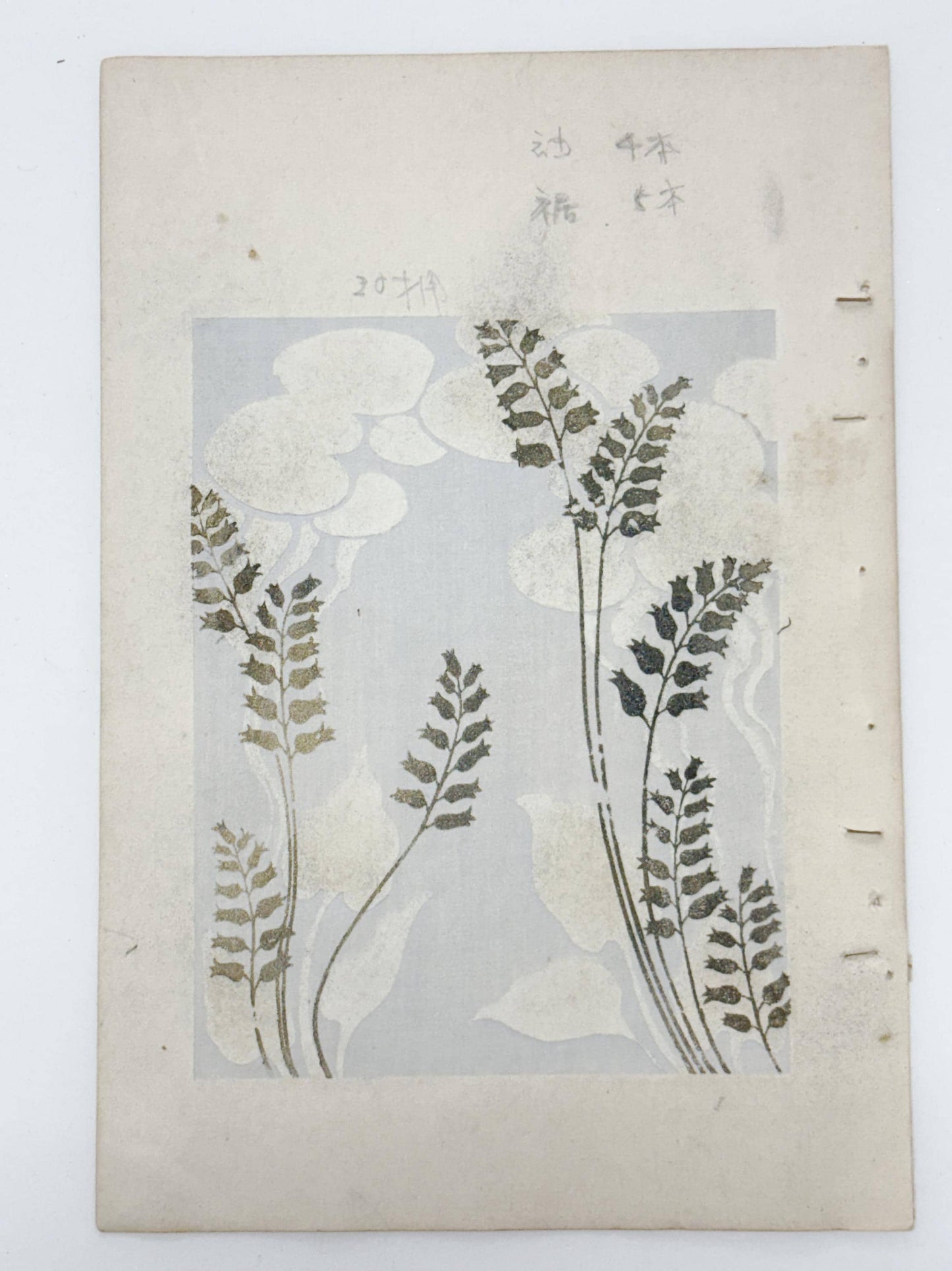 Japanese woodblock print, Around 1900, Shin-Bijutsukai 12