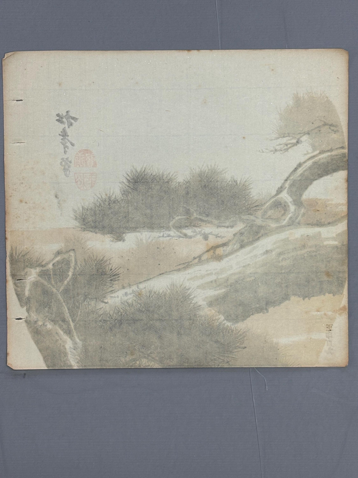Japanese antique design, lithographic print,c1900, Suzuki Shonen, "pine".