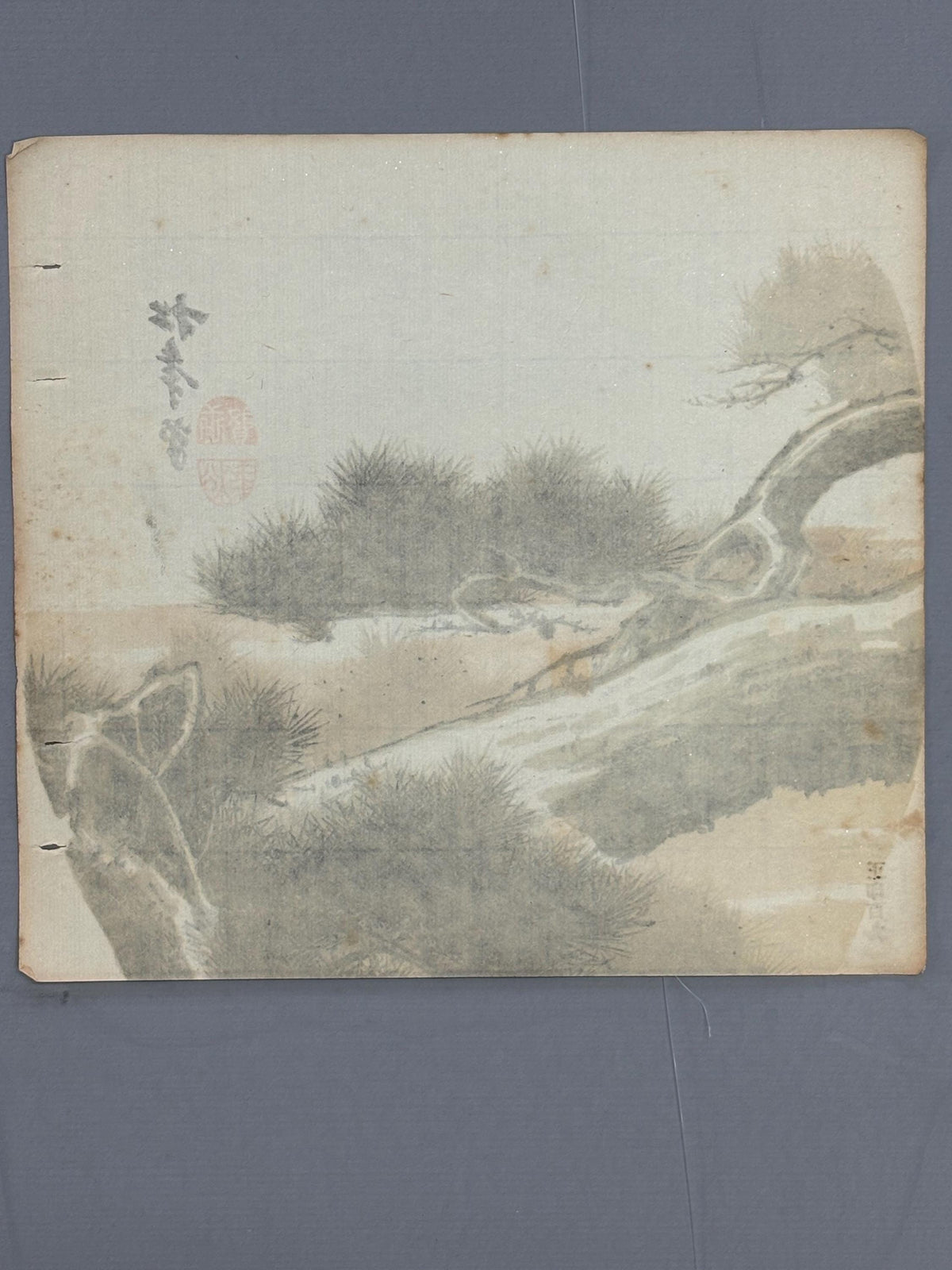 Japanese antique design, lithographic print,c1900, Suzuki Shonen, "pine".