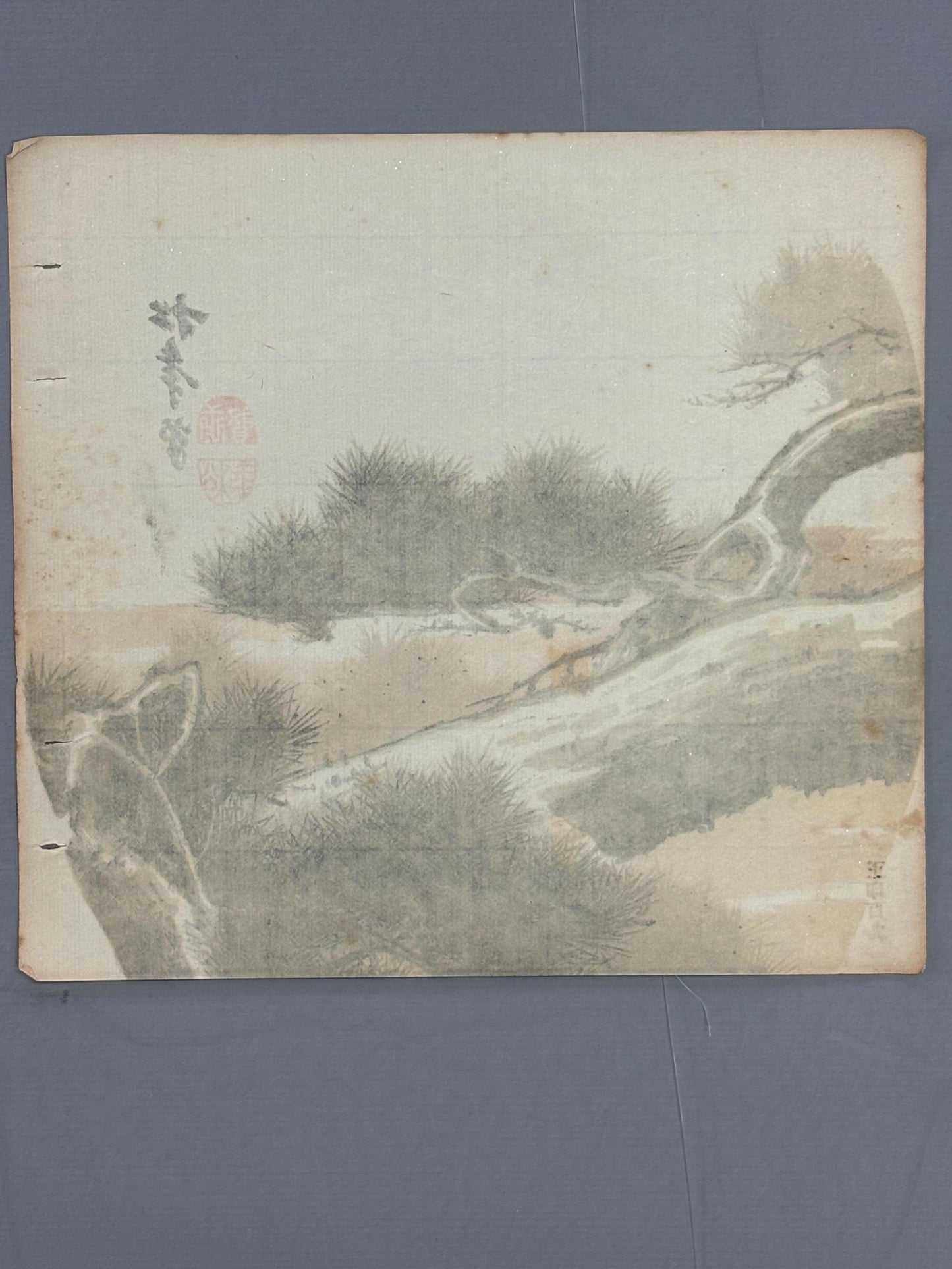 Japanese antique design, lithographic print,c1900, Suzuki Shonen, "pine".