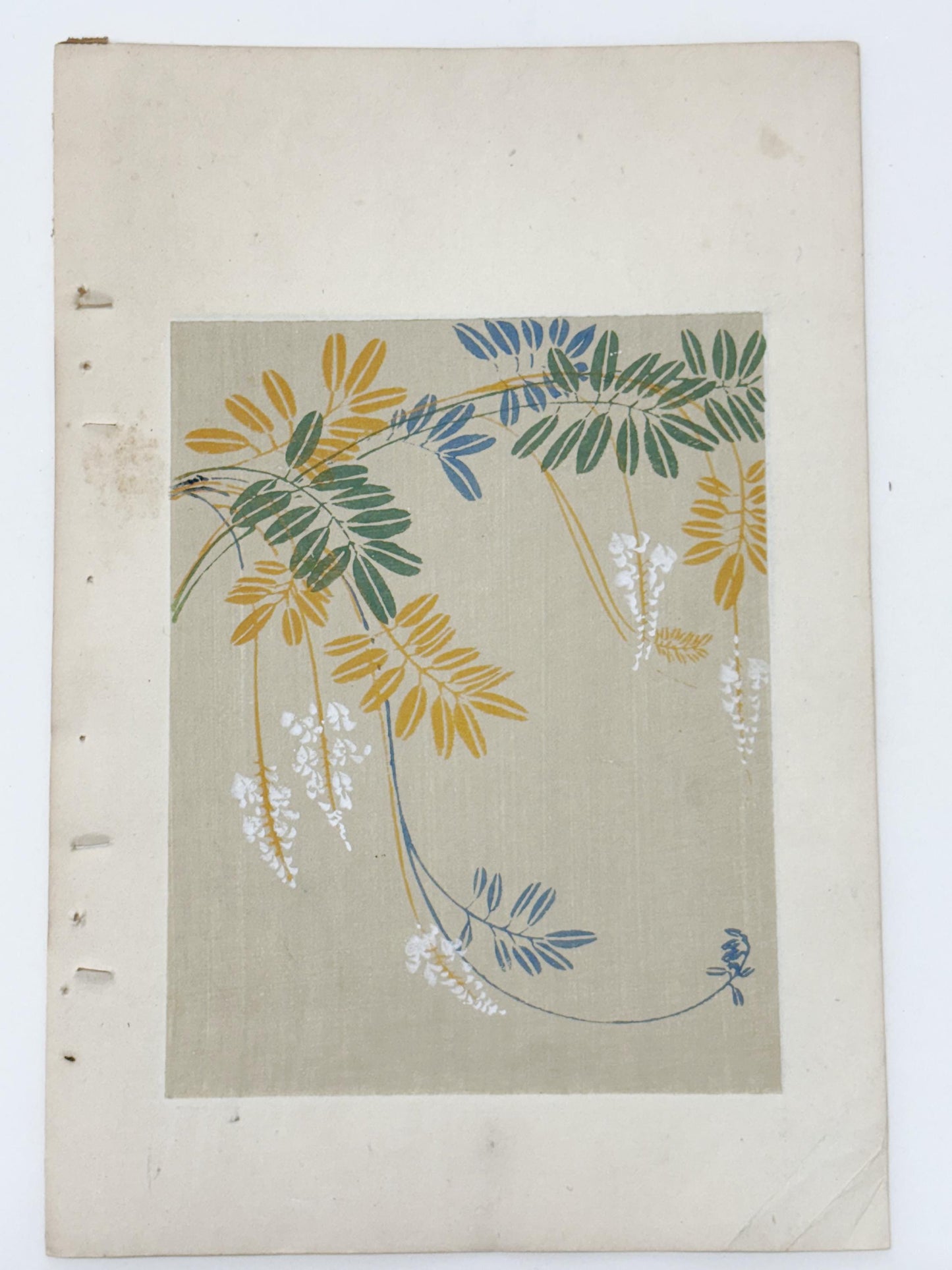 Japanese woodblock print, Around 1900, Shin-Bijutsukai 12