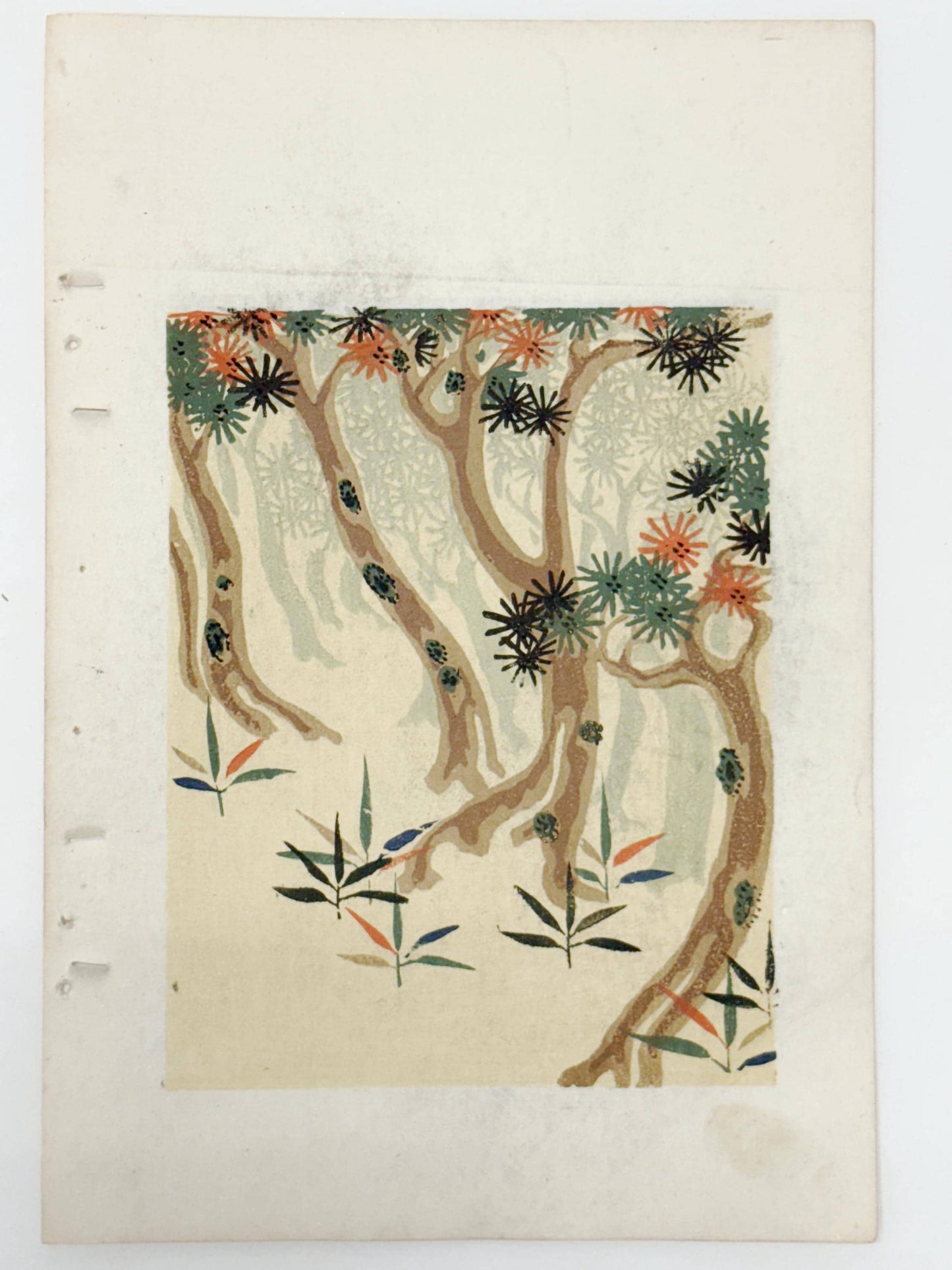 Japanese woodblock print, Around 1900, Shin-Bijutsukai 12