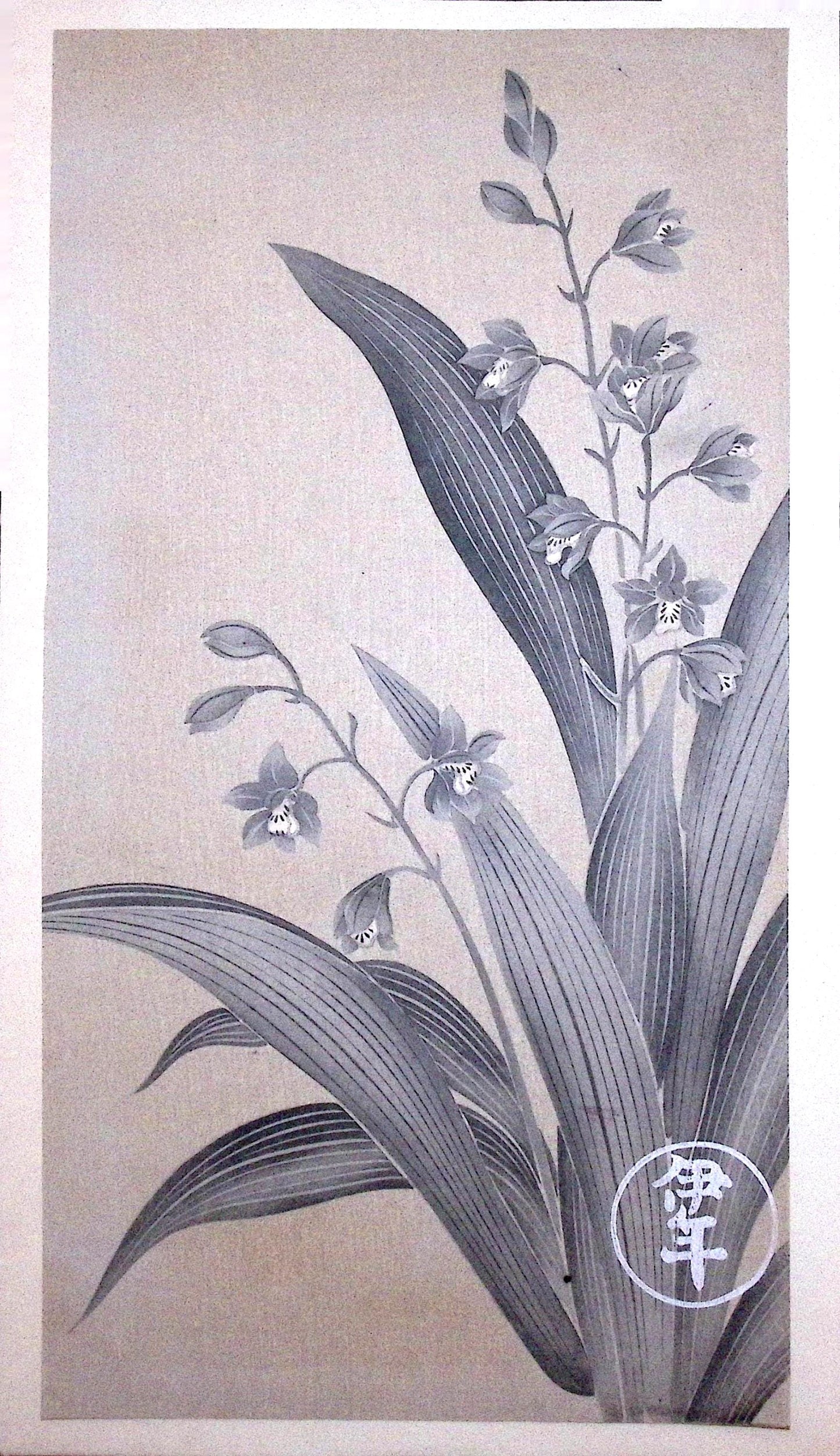 Japanese design, woodblock print, Rinpa.