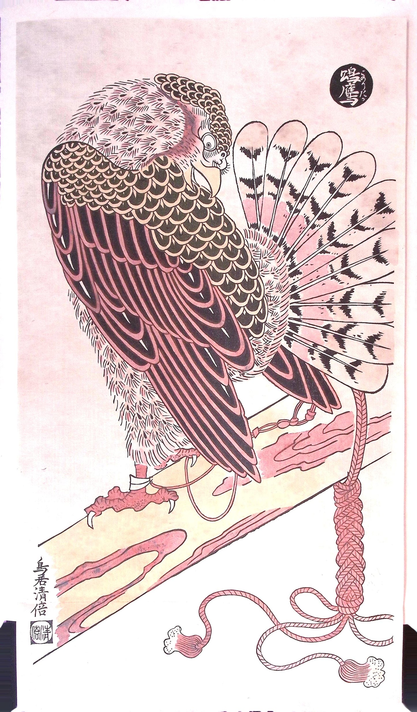 Japanese Ukiyoe, woodcut print, Torii Kiyomasu, "A Male Hawk"