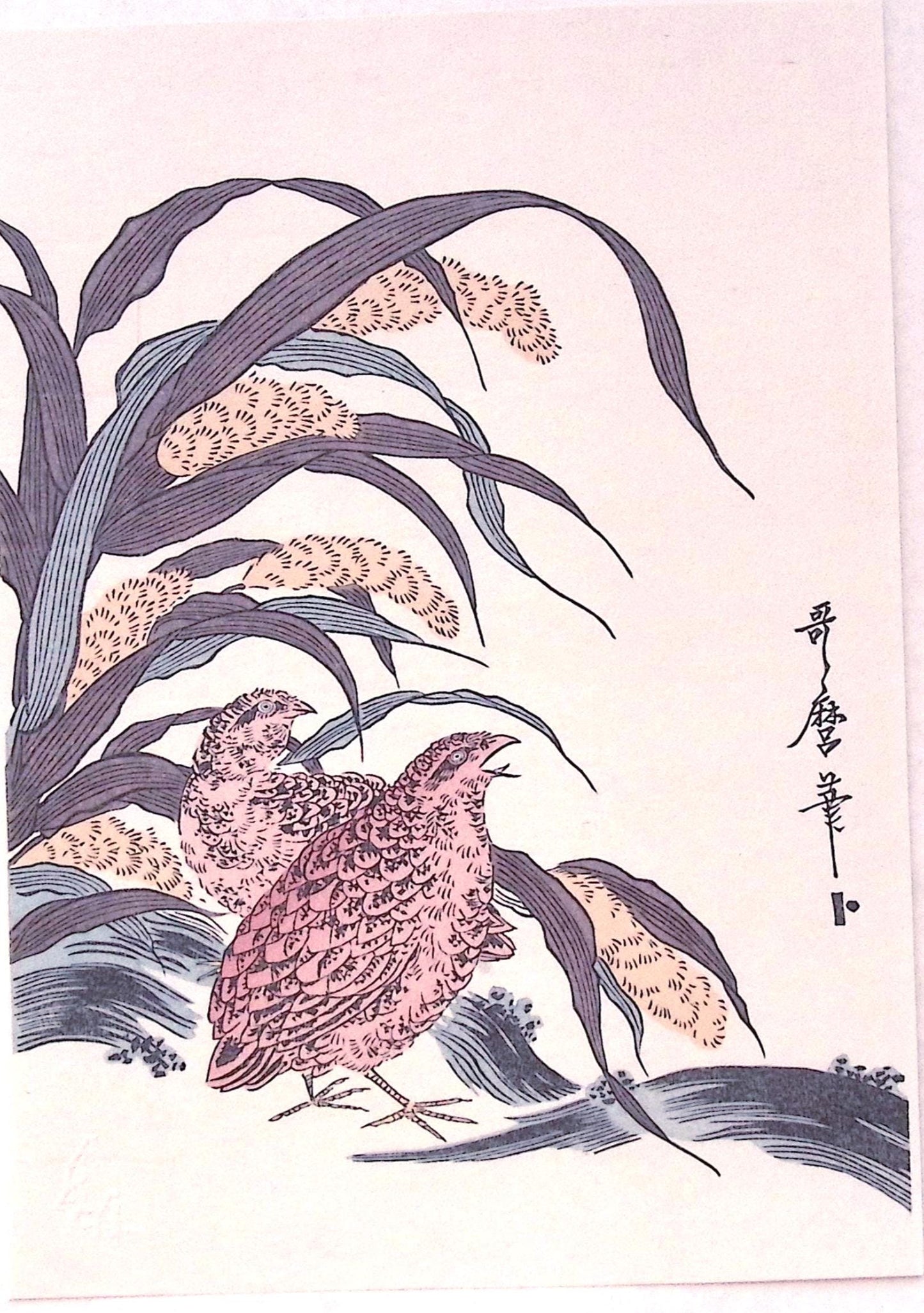 Japanese Ukiyoe, woodcut print, Utamaro, "millet and quail"