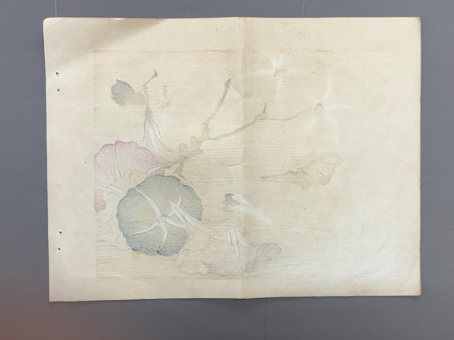 1913, Japanese Woodblock print, antique, Ichimi Renjo, "Morning Glories and Gathered Blossoms".