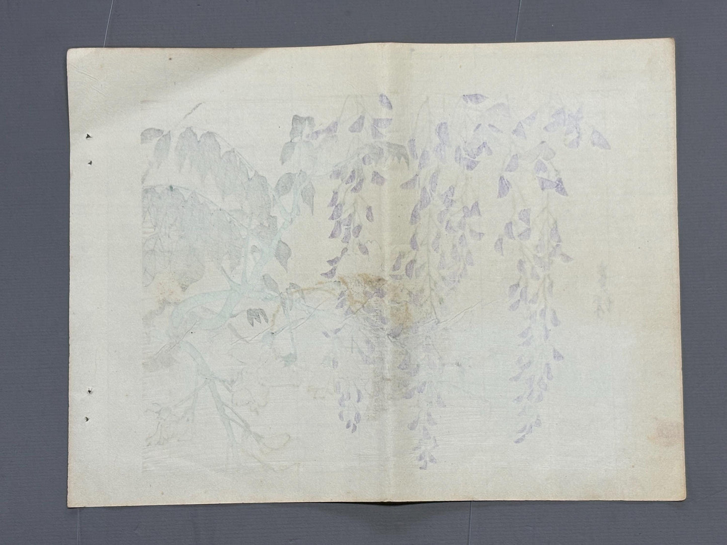 1913, Japanese Woodblock print, Ichimi Renjo, "Purple and White Wisteria".