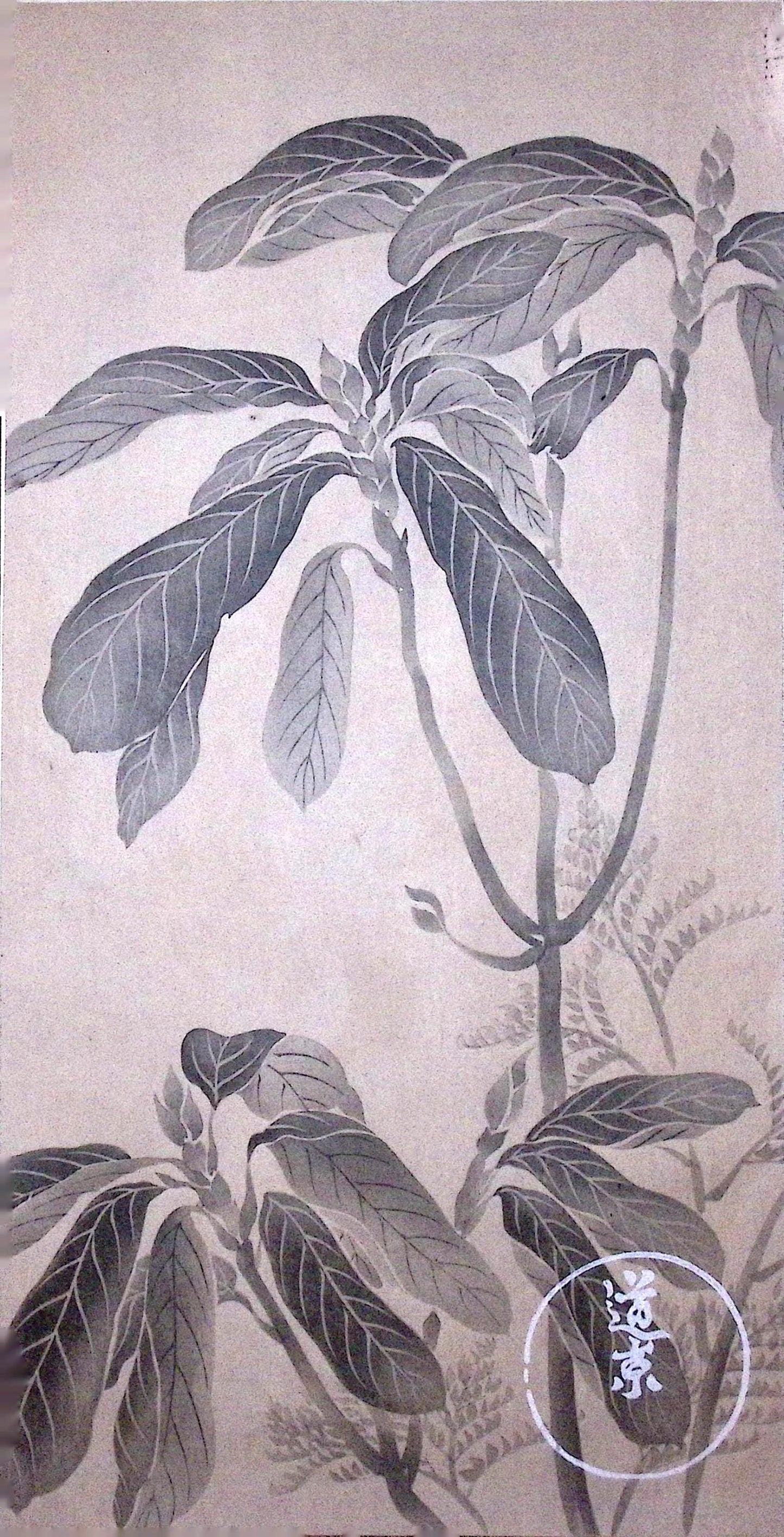 Japanese design, woodblock print, Rinpa.
