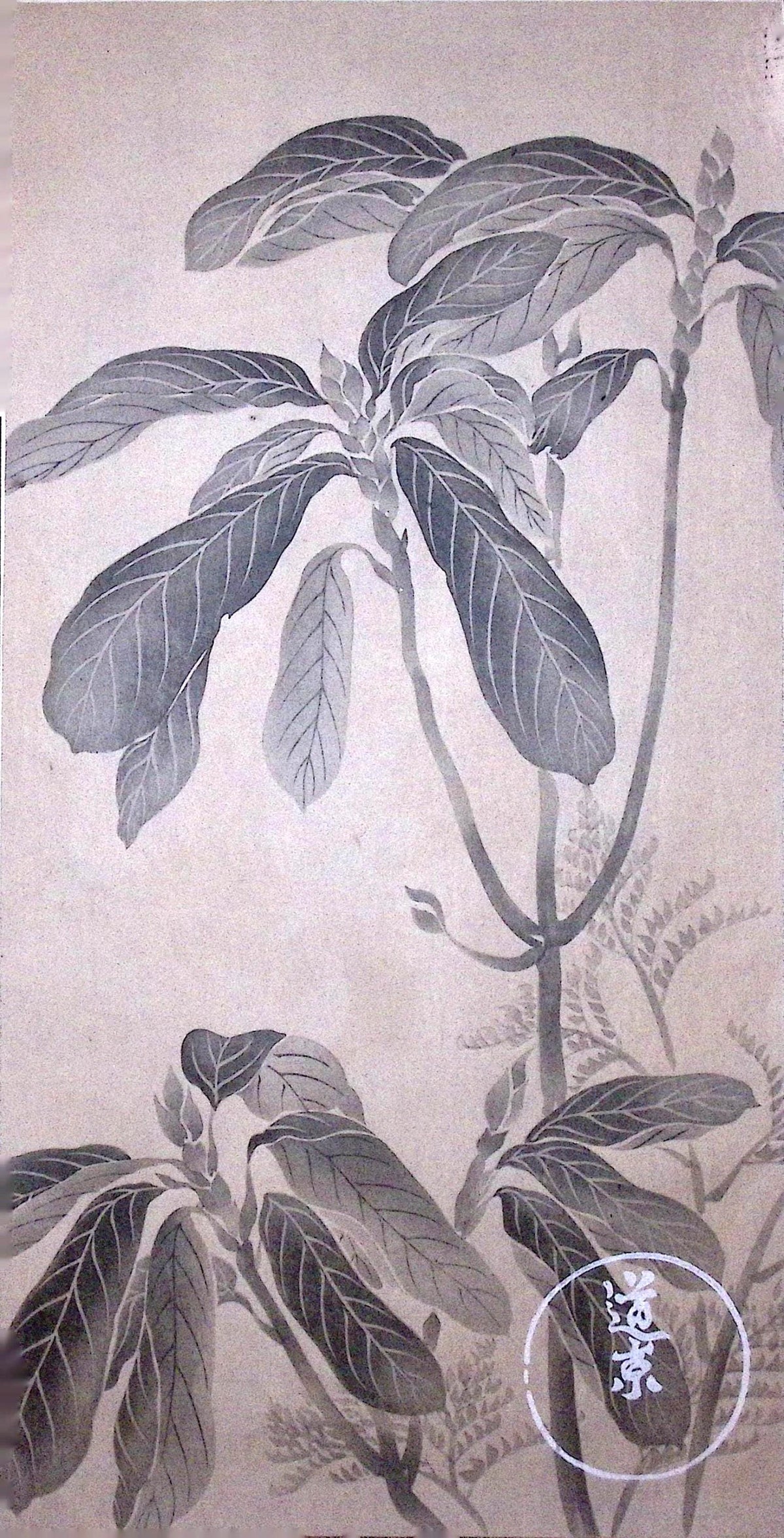 Japanese design, woodblock print, Rinpa.
