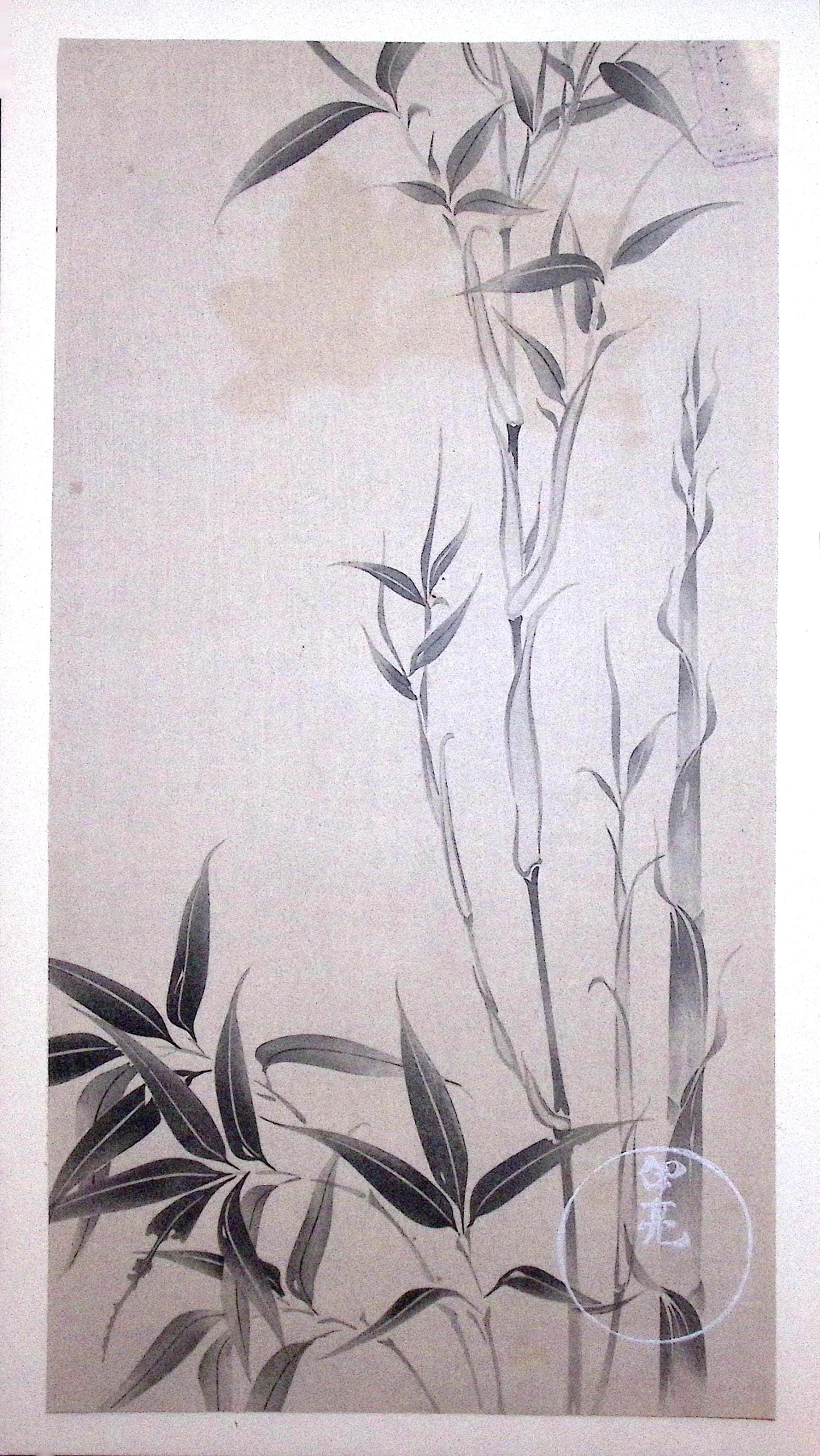 Japanese design, woodblock print, Rinpa.