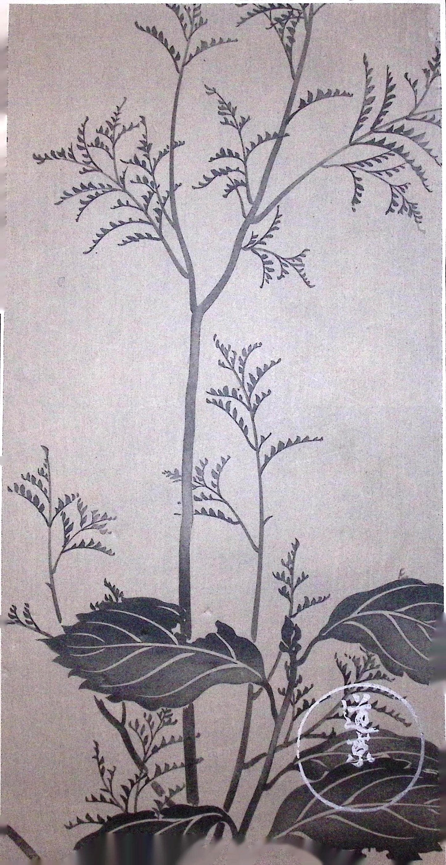 Japanese design, woodblock print, Rinpa.