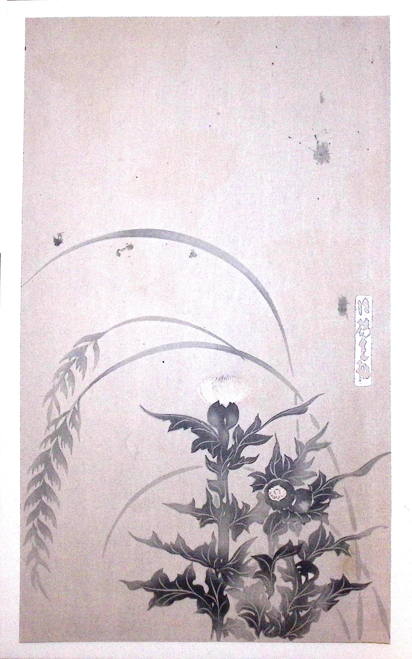 Japanese design, woodblock print, Rinpa.