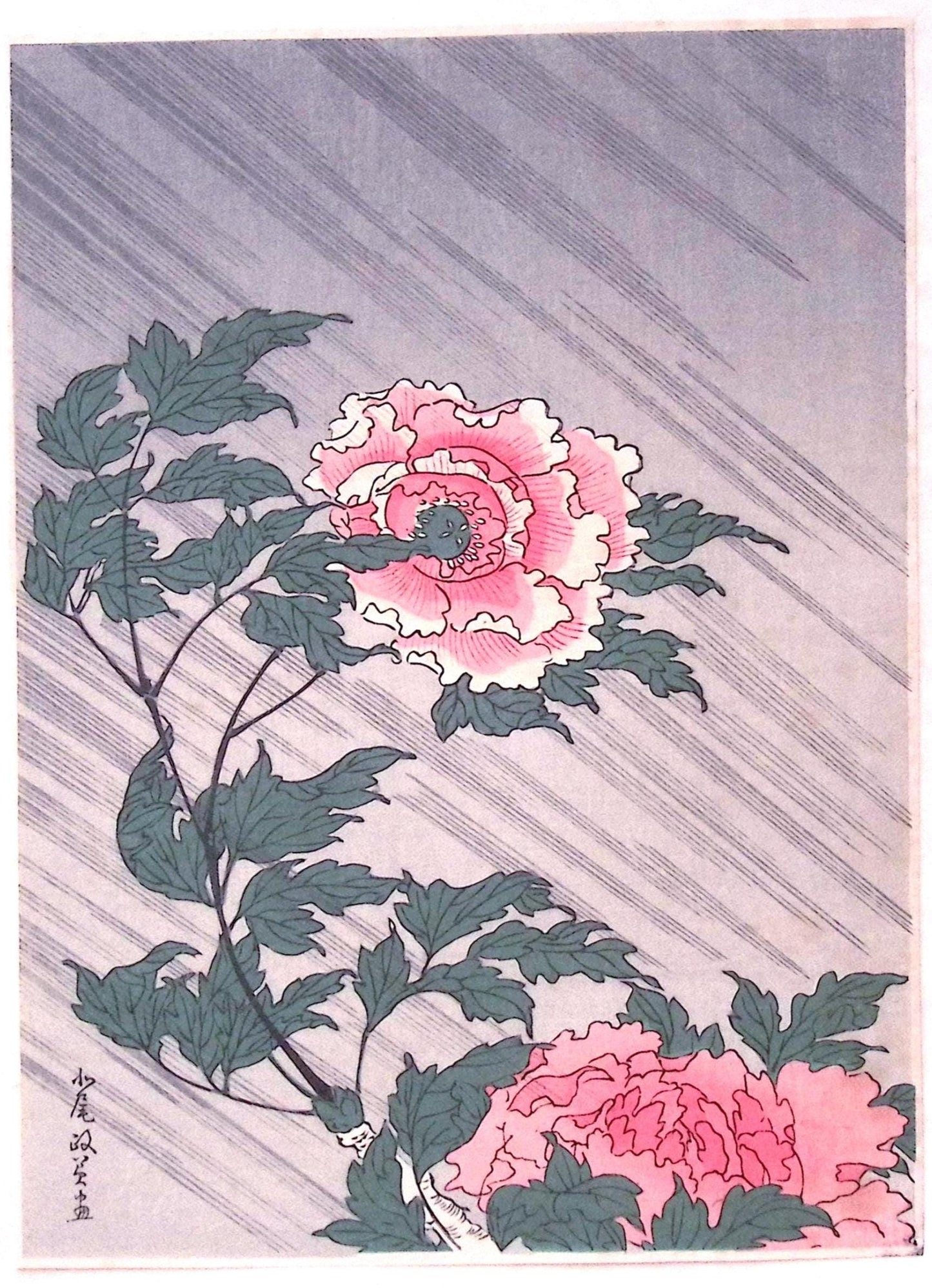 Japanese Ukiyoe, woodcut print, Kitao Masayoshi, "Peonies in Rain"