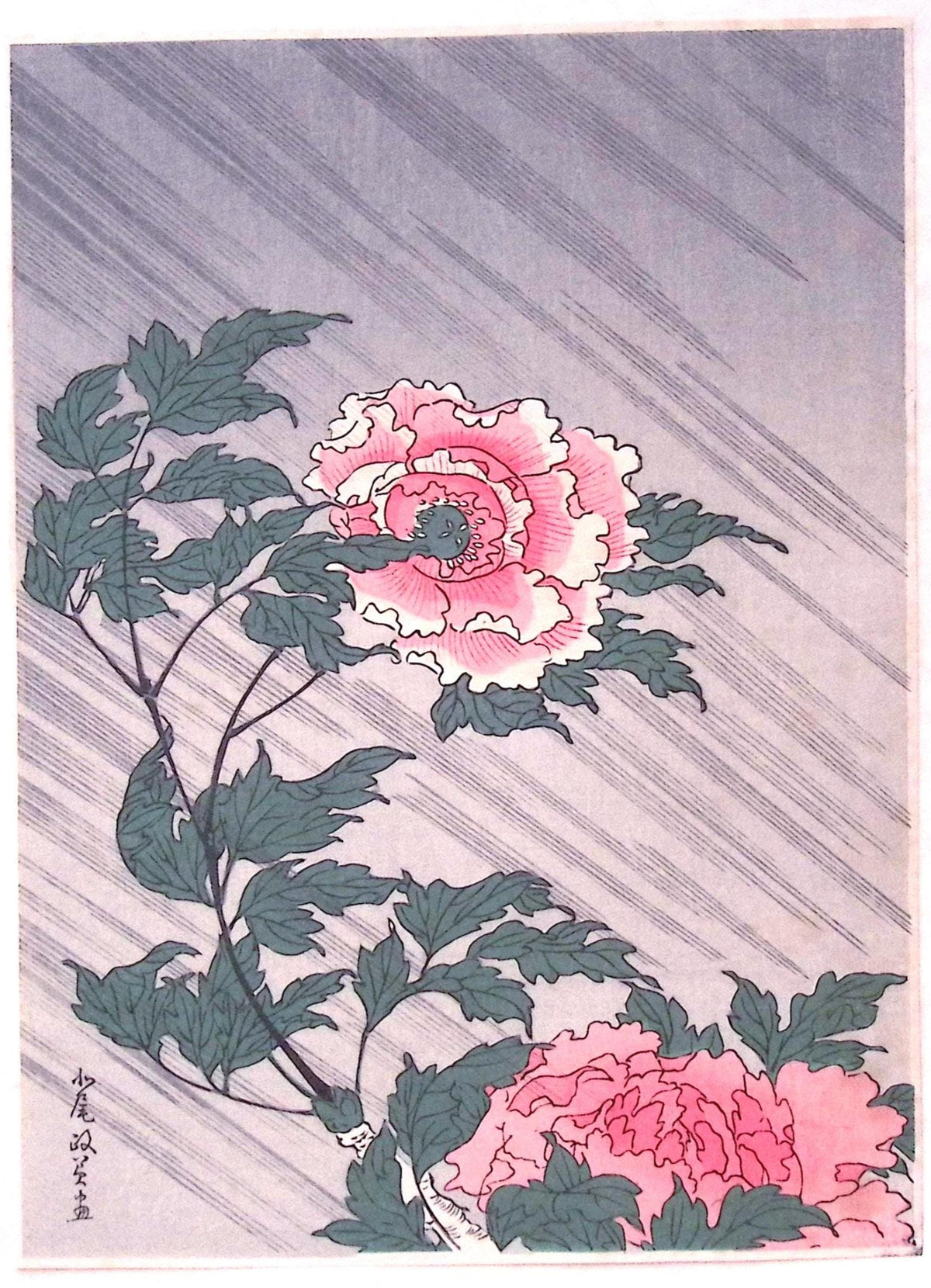 Japanese Ukiyoe, woodcut print, Kitao Masayoshi, "Peonies in Rain"
