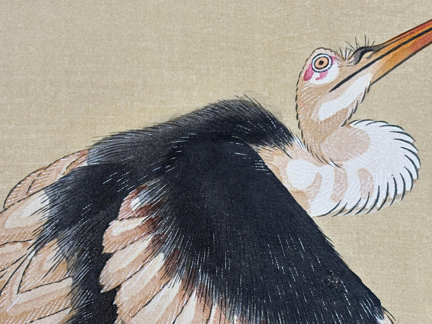 Japanese Ukiyo-e Woodblock print, Hokusai, "The Storks"