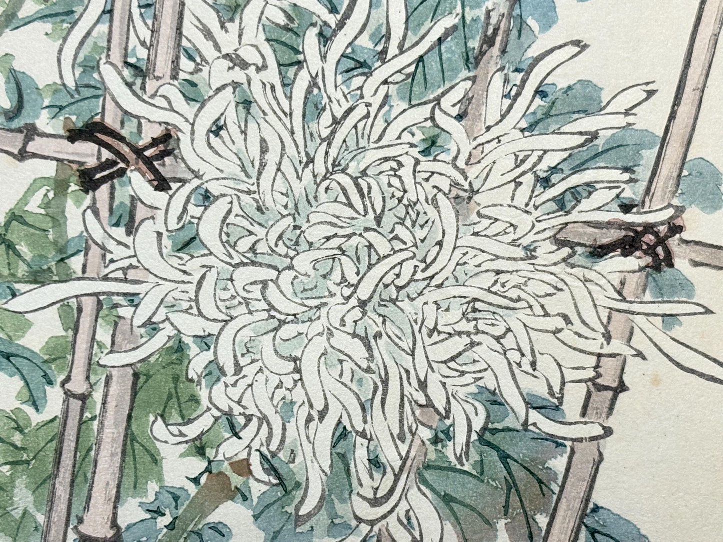 1913, Japanese Woodblock print, antique, Kono Bairei.