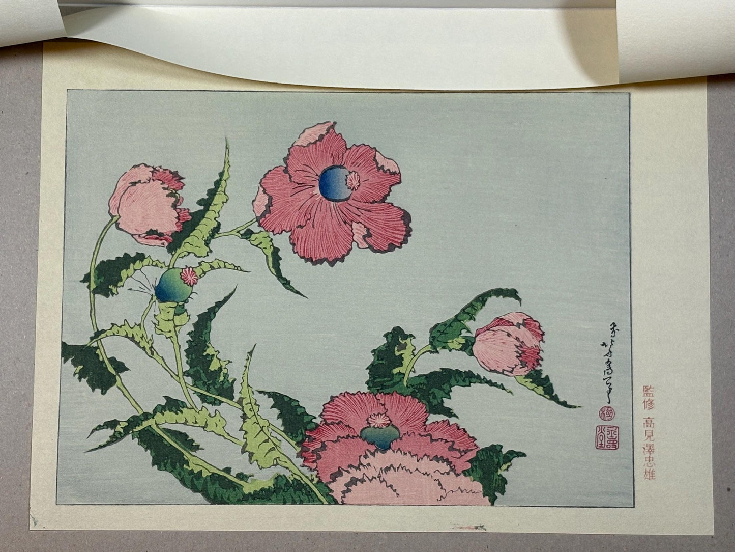 Japanese Ukiyoe, Woodblock print, Hokusai, "A poppy"