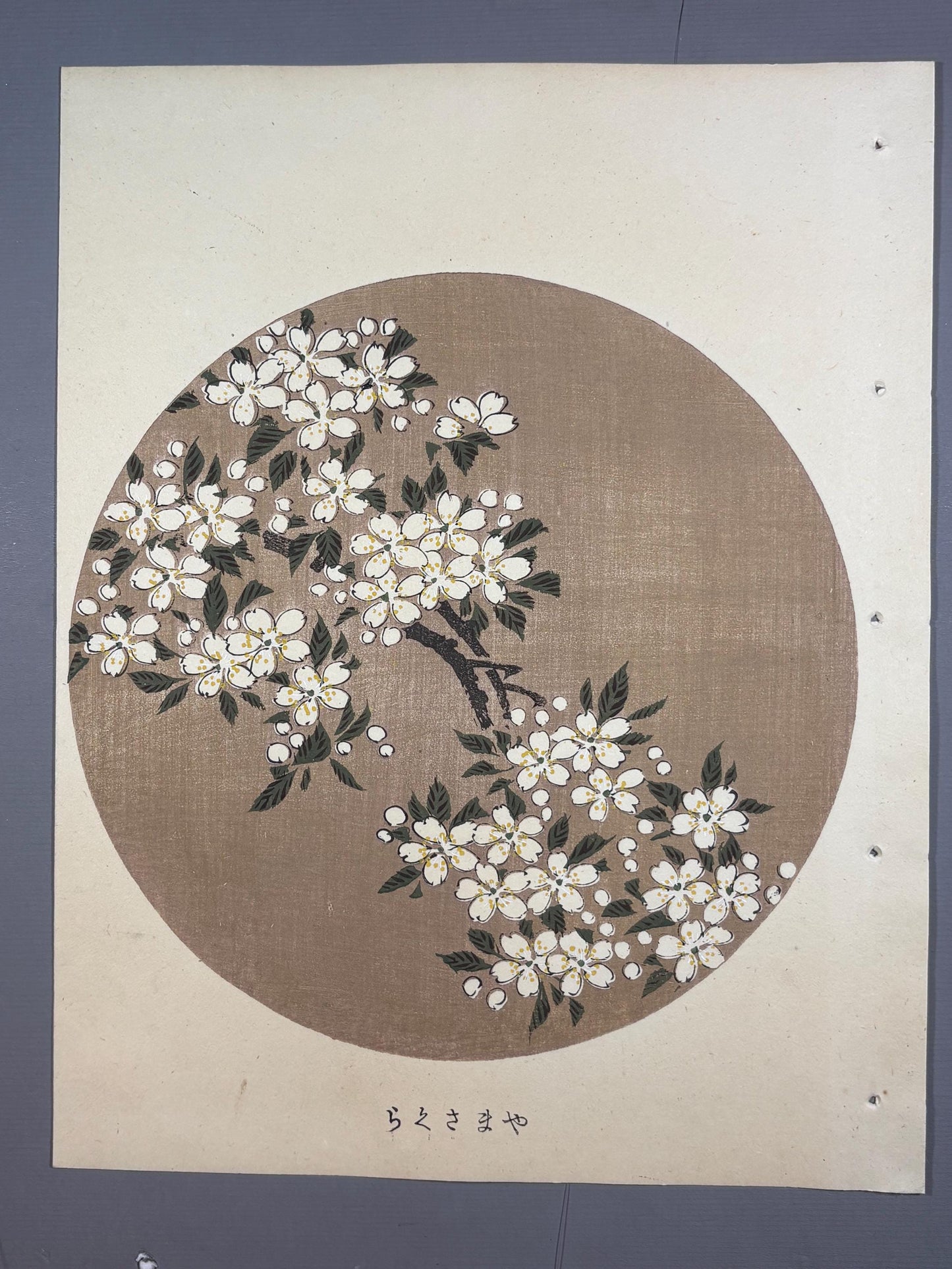 1908, Japanese antique woodblock print, Ito Jakuchu, "Cerasus jamasakura, from Jakuchu gafu"