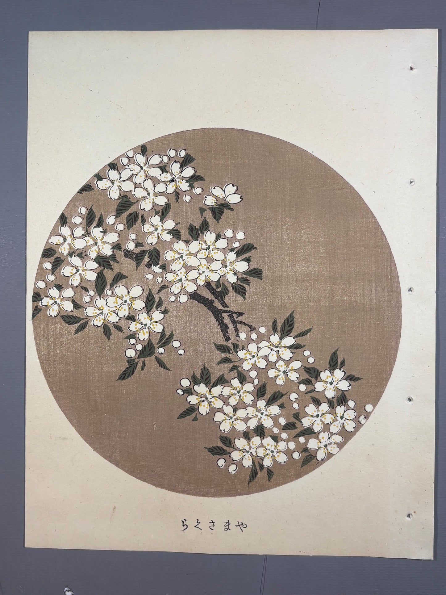 1908, Japanese antique woodblock print, Ito Jakuchu, "Cerasus jamasakura, from Jakuchu gafu"