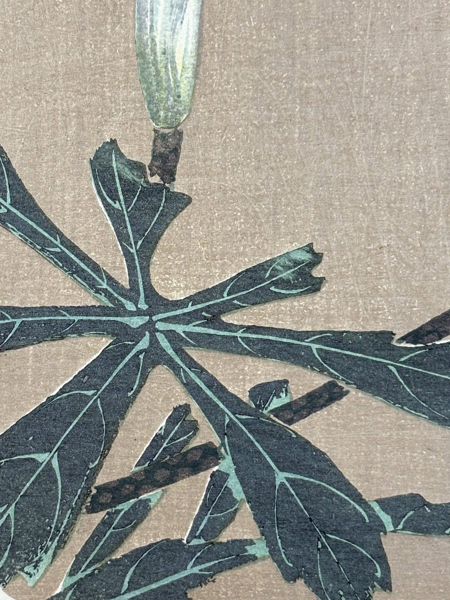1908, Japanese antique woodblock print, Ito Jakuchu, "Jack in the pulpit, from Jakuchu gafu"