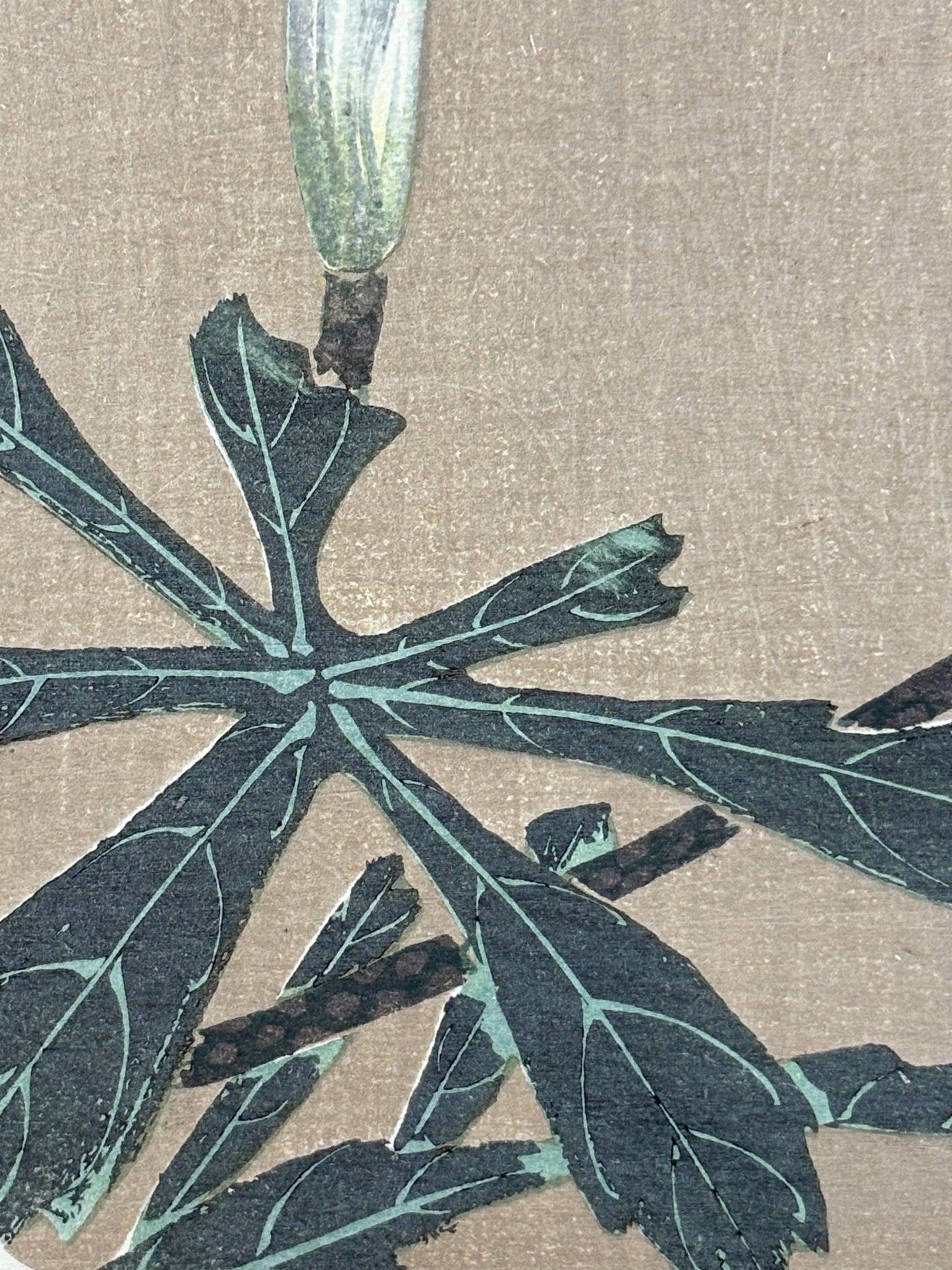 1908, Japanese antique woodblock print, Ito Jakuchu, "Jack in the pulpit, from Jakuchu gafu"