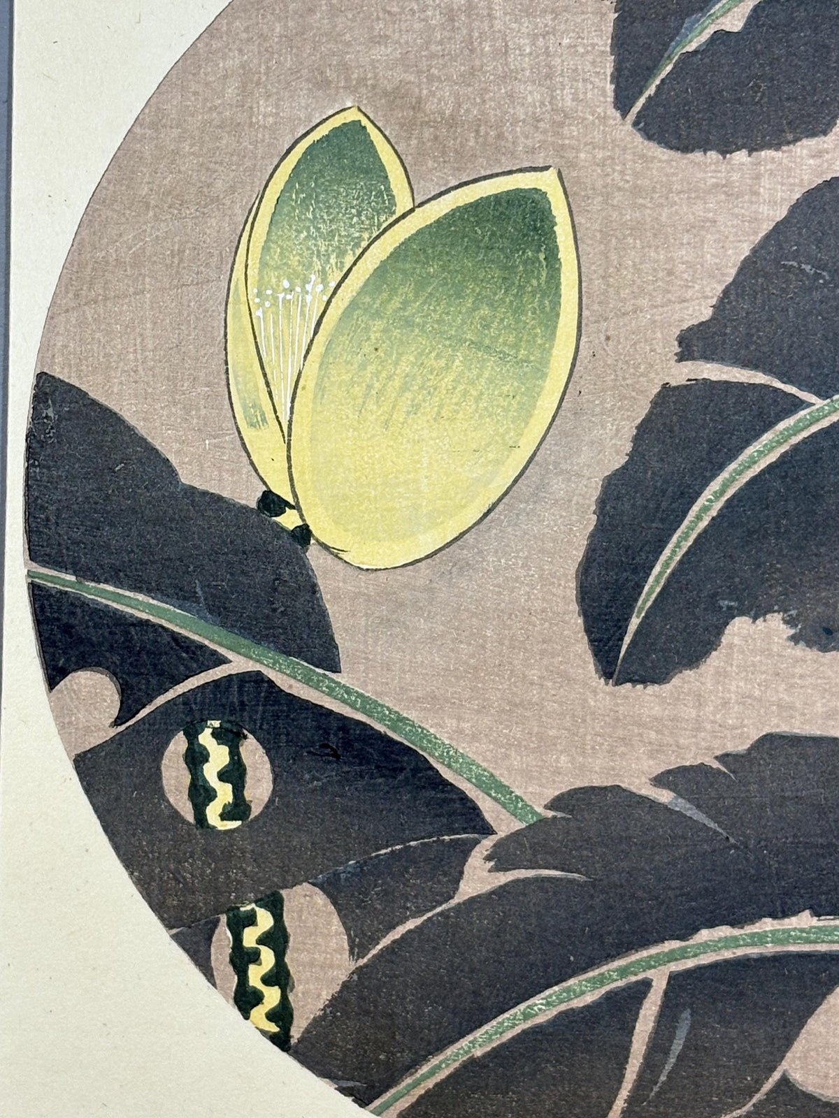 1908, Japanese antique woodblock print, Ito Jakuchu, "Japanese fiber banana, from Jakuchu gafu"