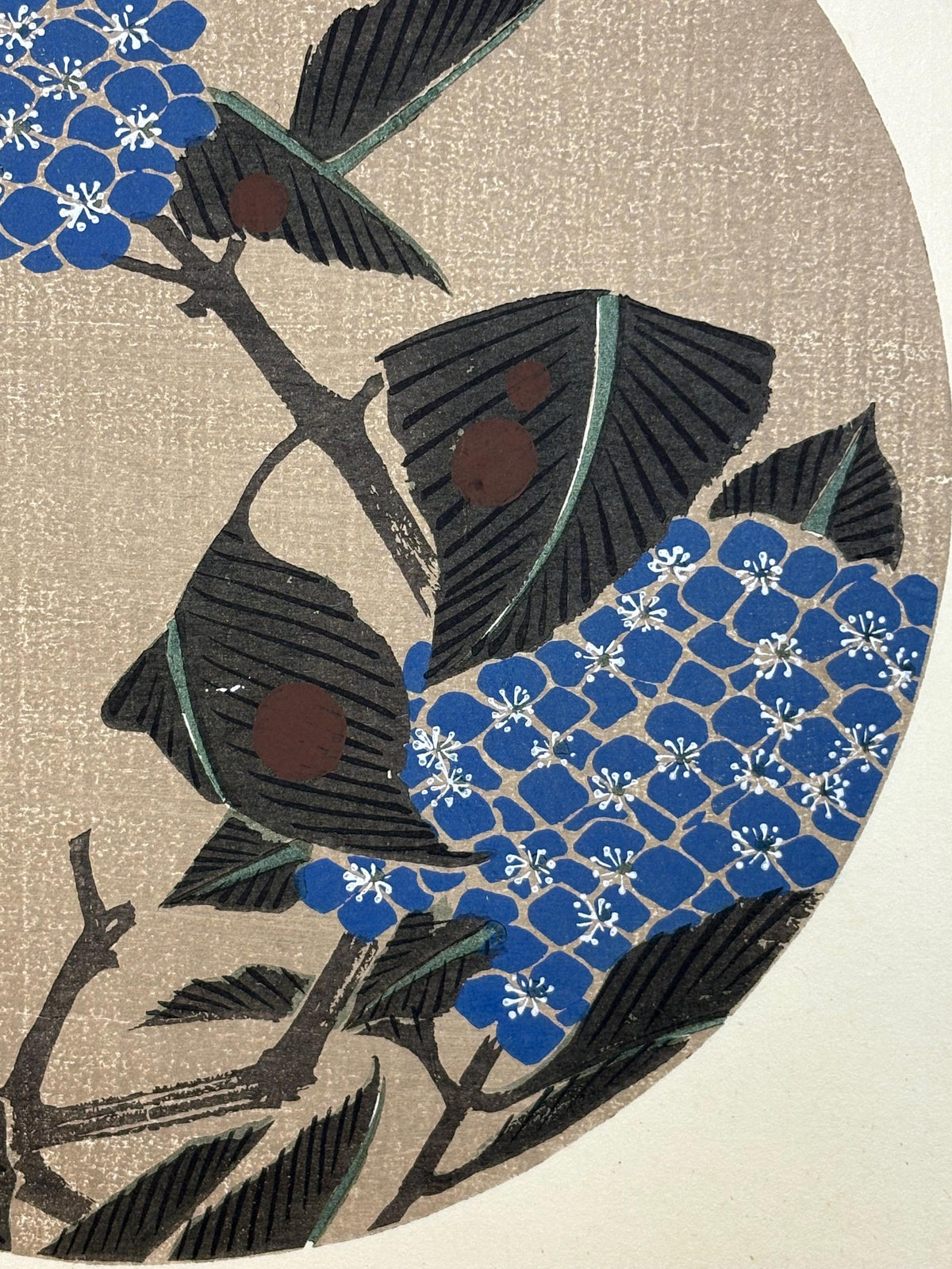1908, Japanese antique woodblock print, Ito Jakuchu, "Hydrangea macrophylla, from Jakuchu gafu"