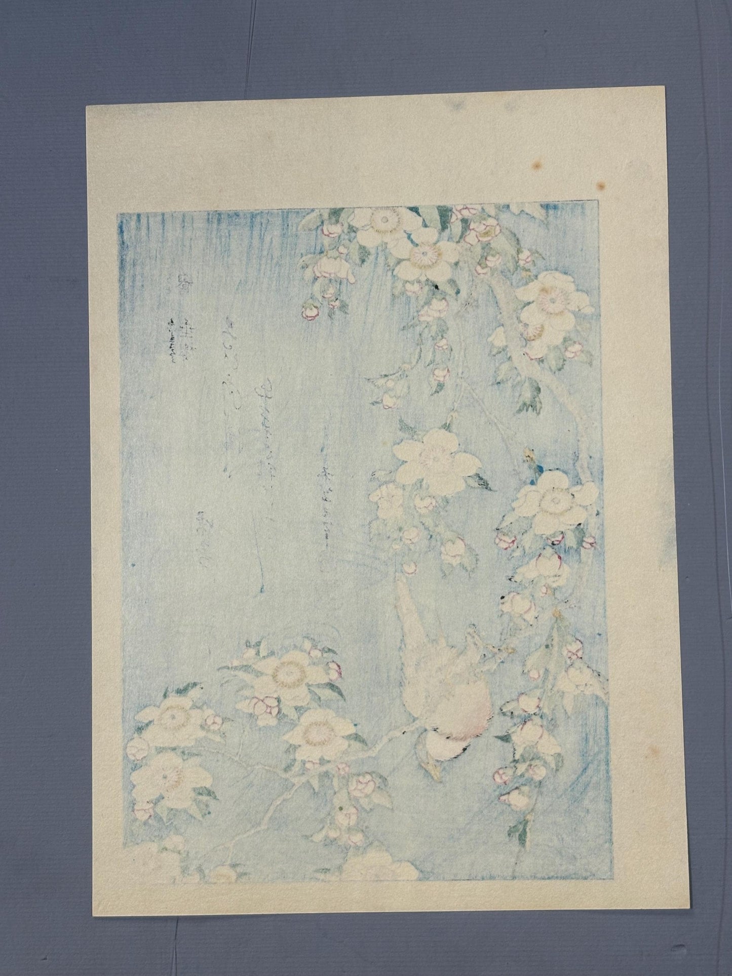 Japanese Ukiyo-e Woodblock print, Hokusai, "A Bullfinch and A Dropping Cherry Tree"
