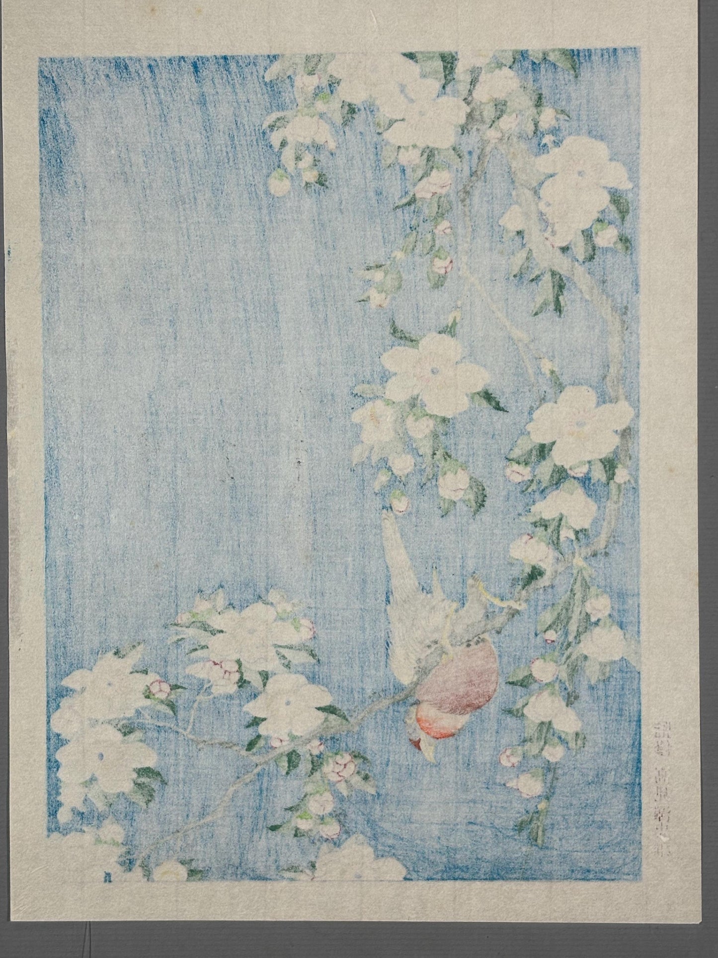 Japanese Ukiyo-e Woodblock print, Katsushika Hokusai, "A Bullfinch and A Dropping Cherry Tree"