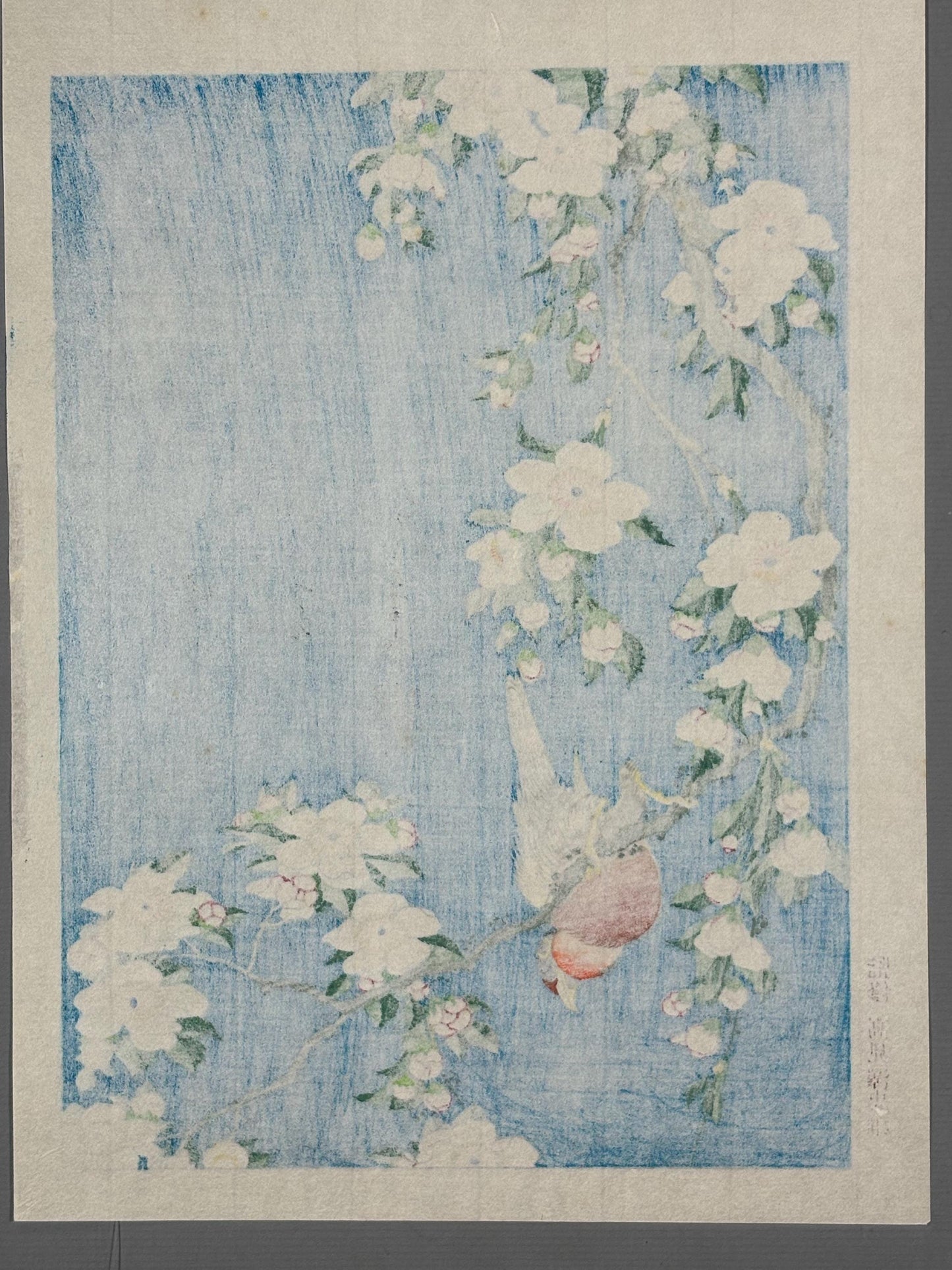 Japanese Ukiyo-e Woodblock print, Hokusai, "A Bullfinch and A Dropping Cherry Tree"