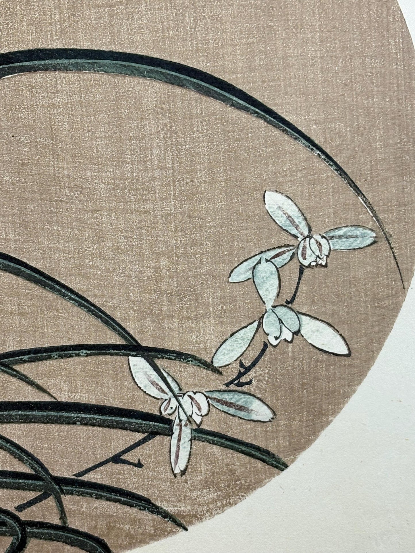 1908, Japanese antique woodblock print, Ito Jakuchu, "wind orchid, from Jakuchu gafu"