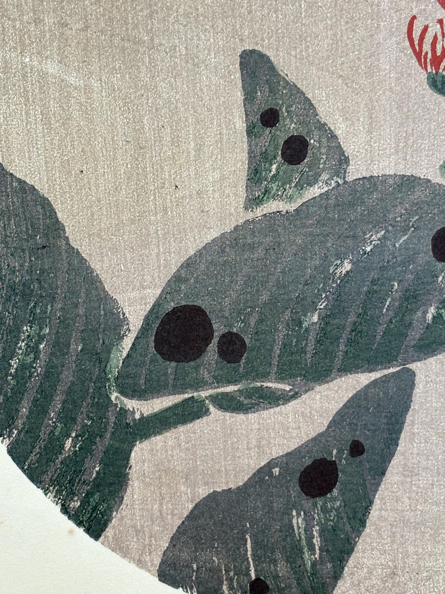 1908, Japanese antique woodblock print, Ito Jakuchu, "hosta, from Jakuchu gafu"