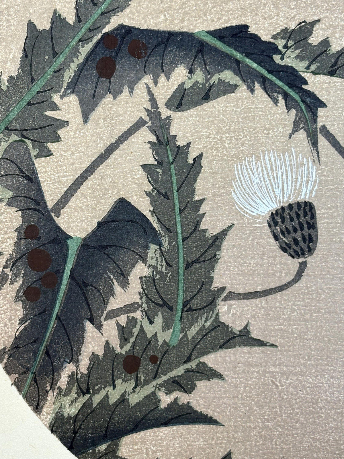 1908, Japanese antique woodblock print, Ito Jakuchu, "thistle, from Jakuchu gafu"