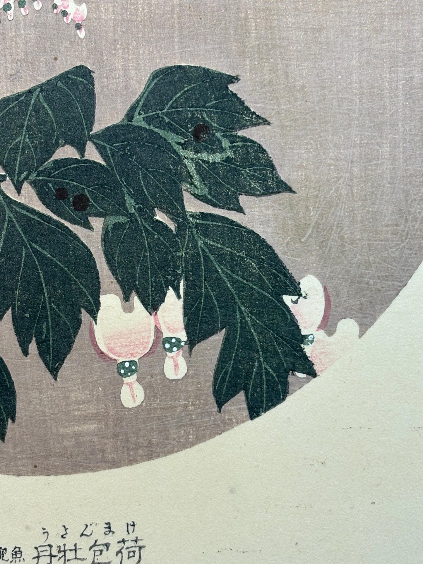 1908, Japanese antique woodblock print, Ito Jakuchu, "Bleeding Heart, from Jakuchu gafu"