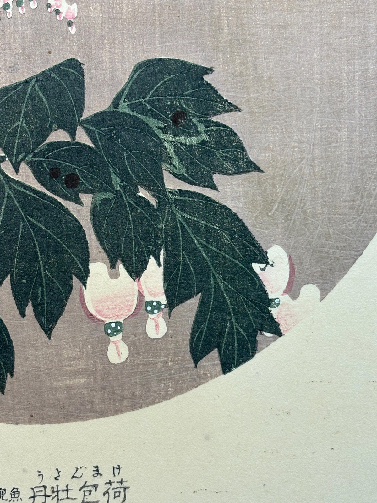 1908, Japanese antique woodblock print, Ito Jakuchu, "Bleeding Heart, from Jakuchu gafu"