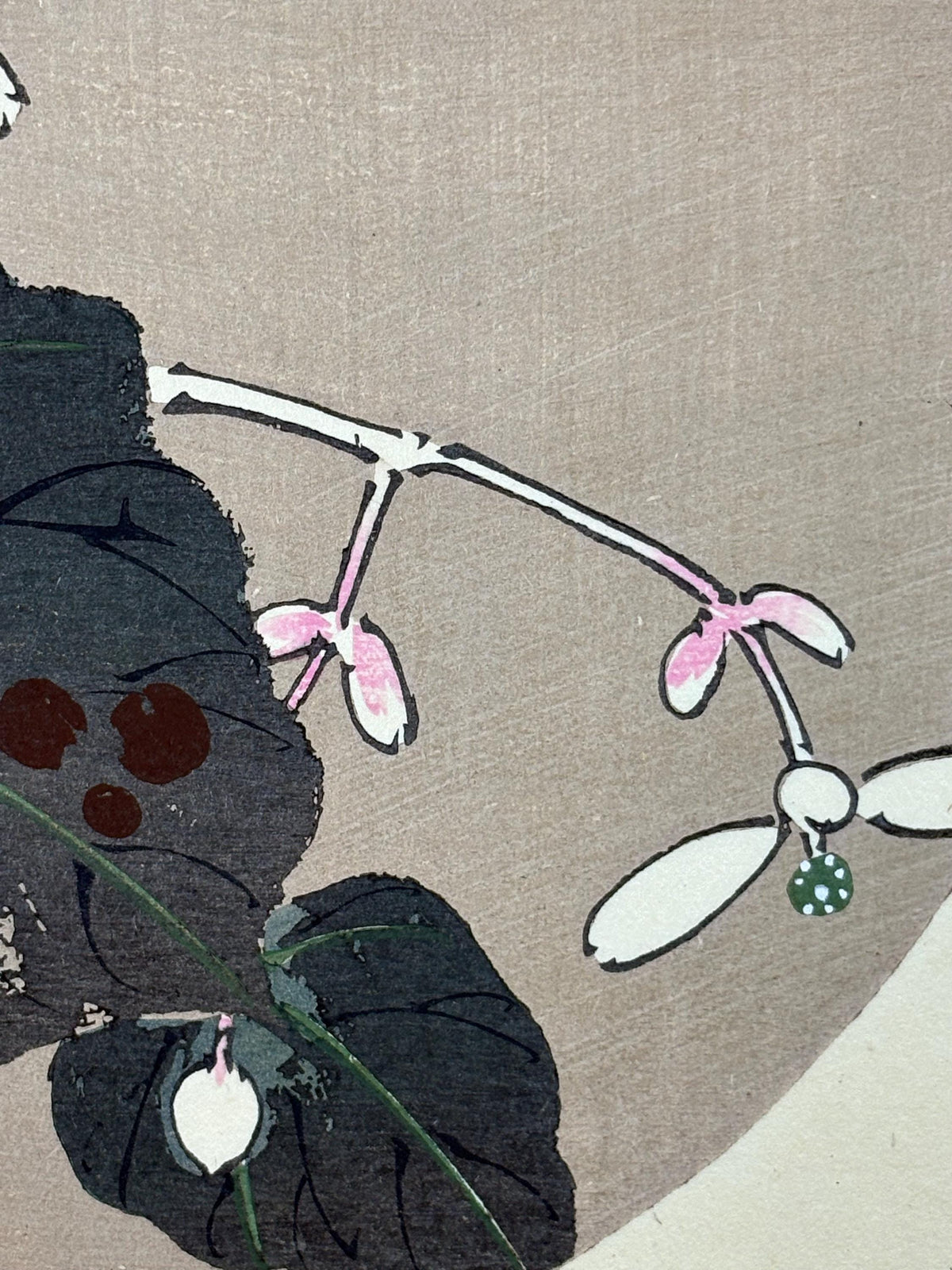 1908, Japanese antique woodblock print, Ito Jakuchu, "Hardy Begonia, from Jakuchu gafu"