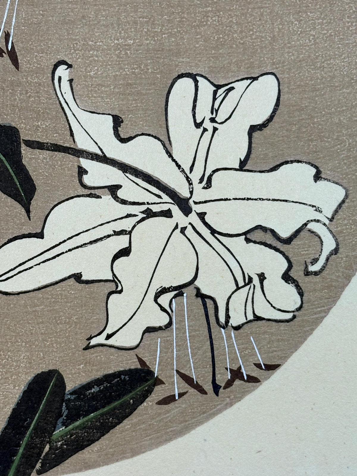 1908, Japanese antique woodblock print, Ito Jakuchu, "Speciosum Lily, from Jakuchu gafu"
