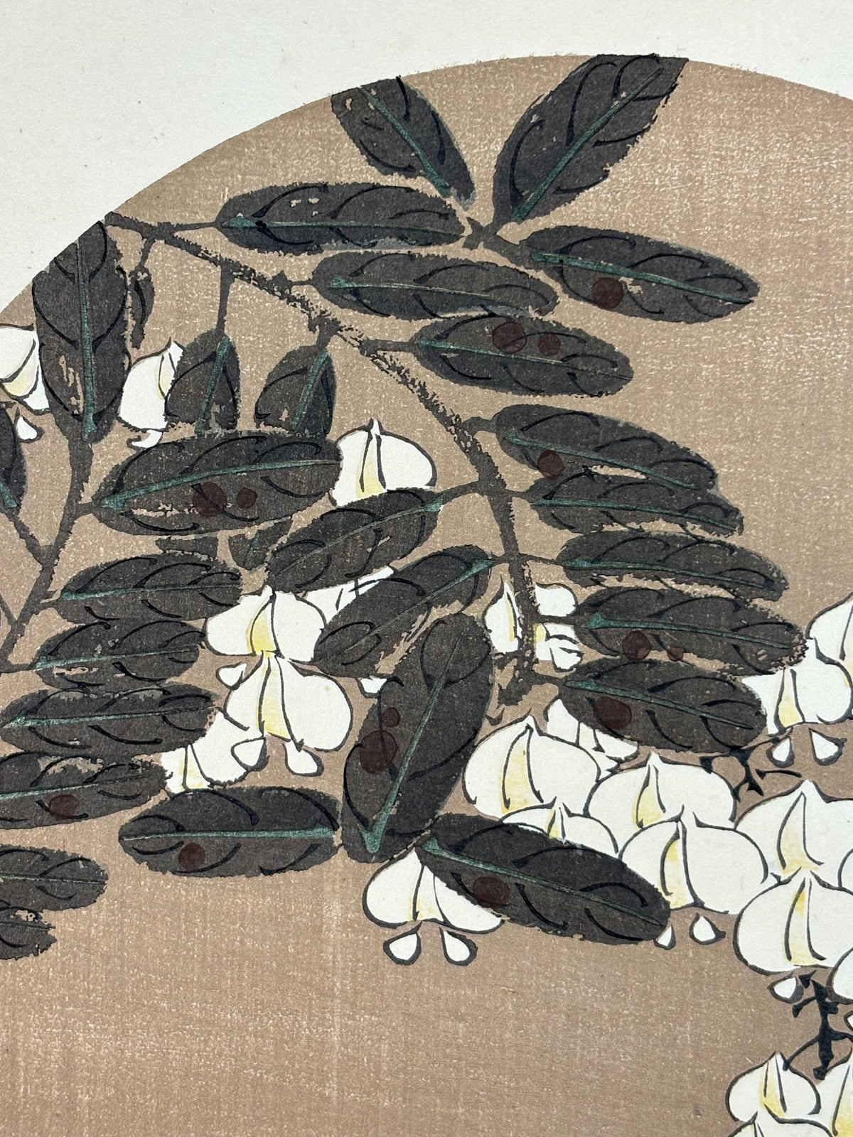 1908, Japanese antique woodblock print, Ito Jakuchu, "White Wisteria, from Jakuchu gafu"