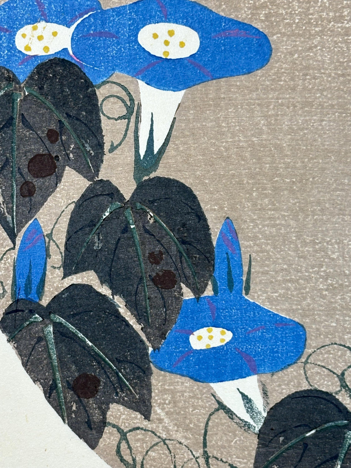 1908, Japanese antique woodblock print, Ito Jakuchu, "Morning Glory, from Jakuchu gafu"