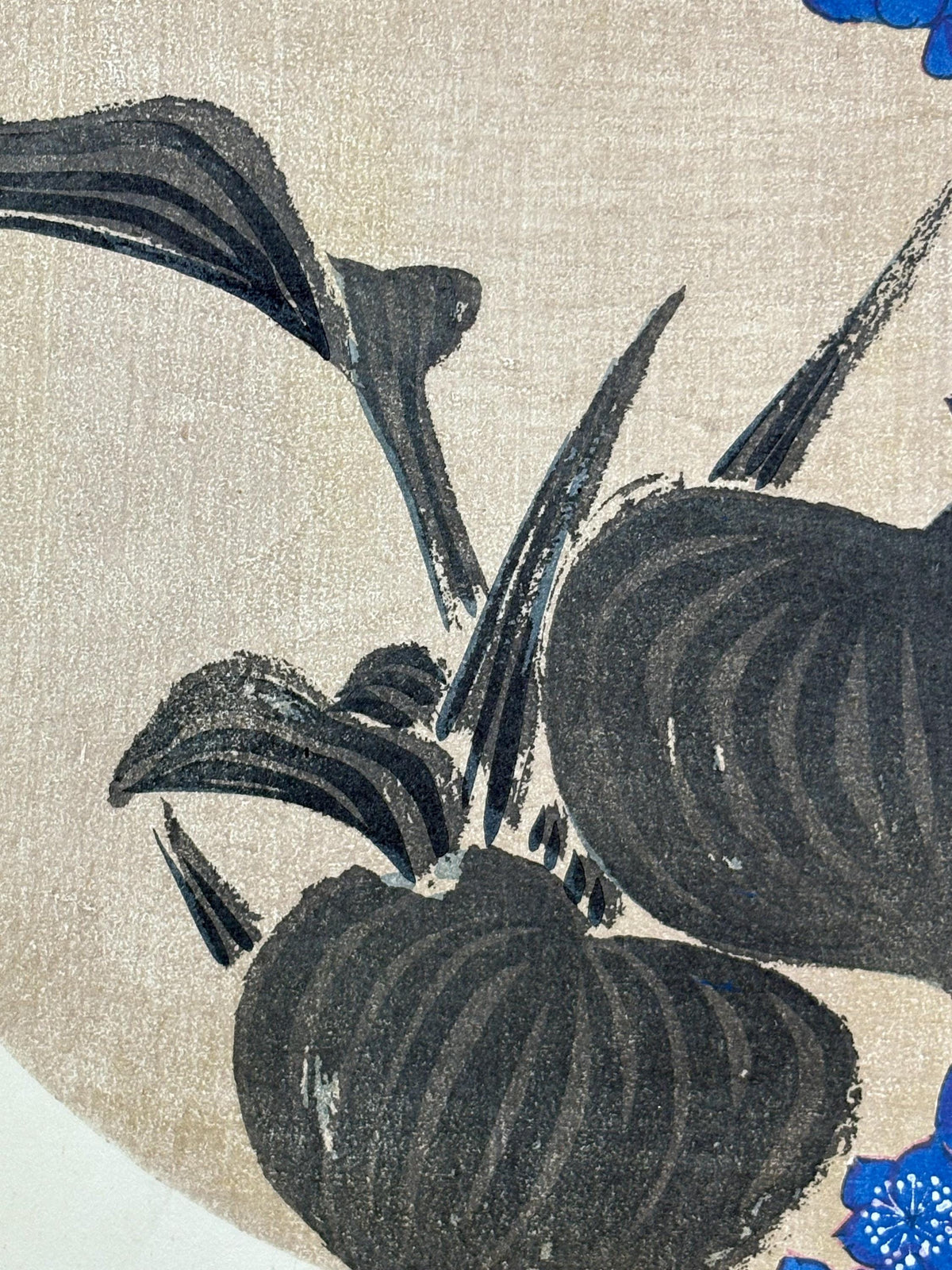 1908, Japanese antique woodblock print, Ito Jakuchu, "Heartleaf False Pickerelweed, from Jakuchu gafu"